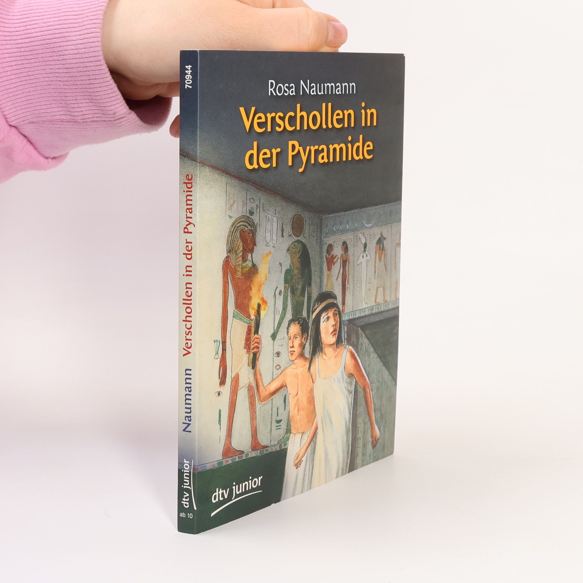 Rosa Naumann Verschollen in der Pyramide