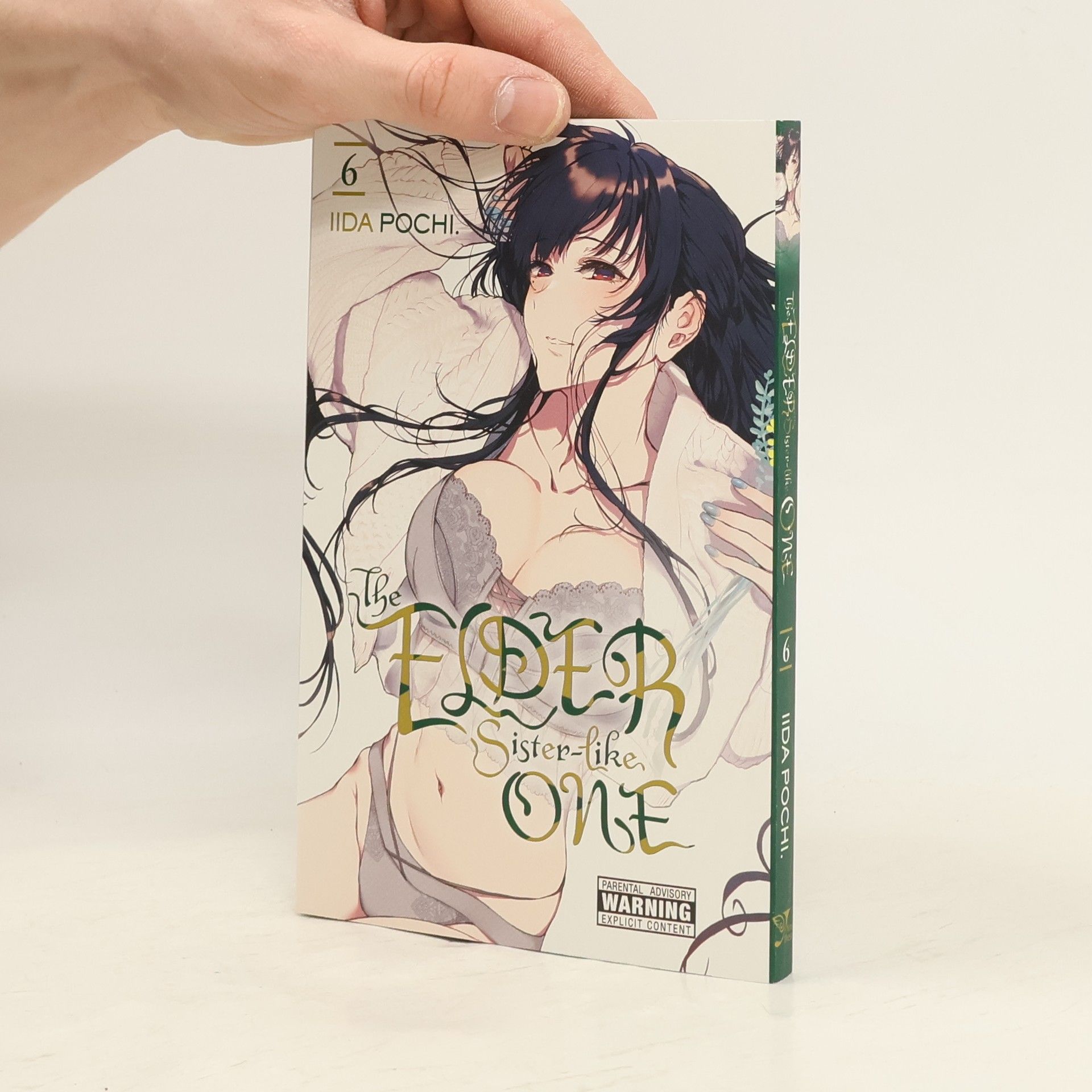 Pochi Iida The Elder Sister-Like One, Vol. 6