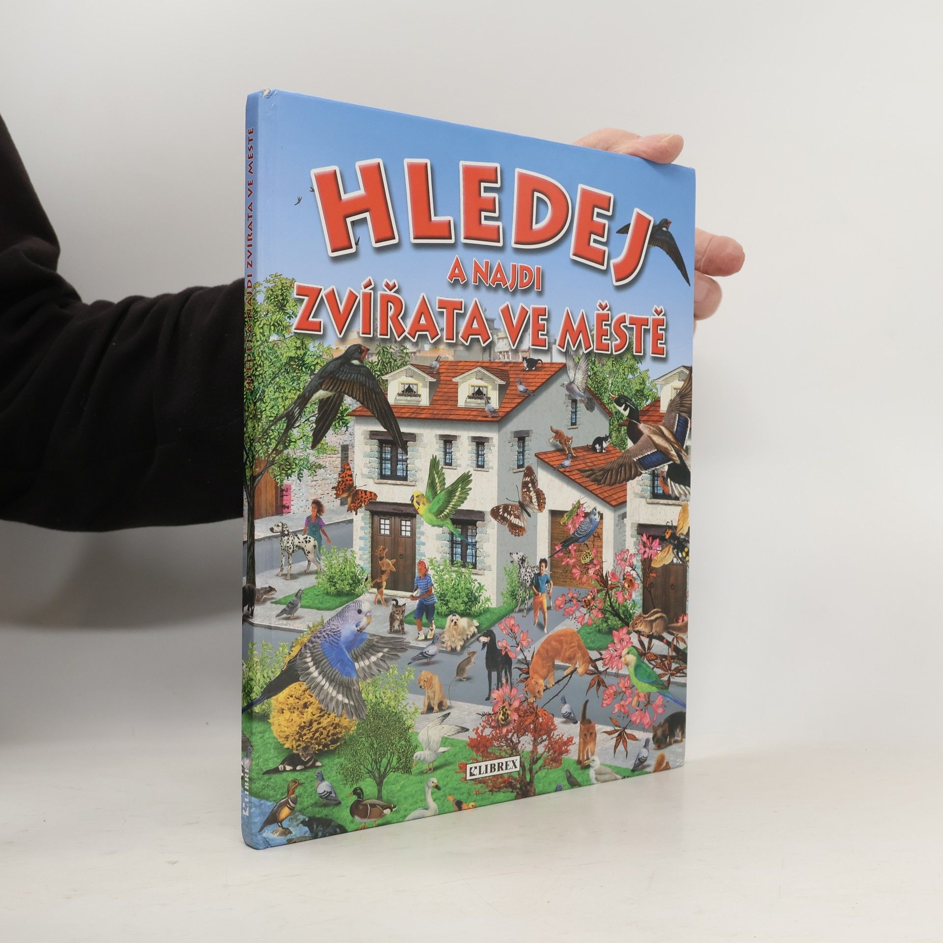 Auteurscollectief Hledej a najdi zvířata ve městě