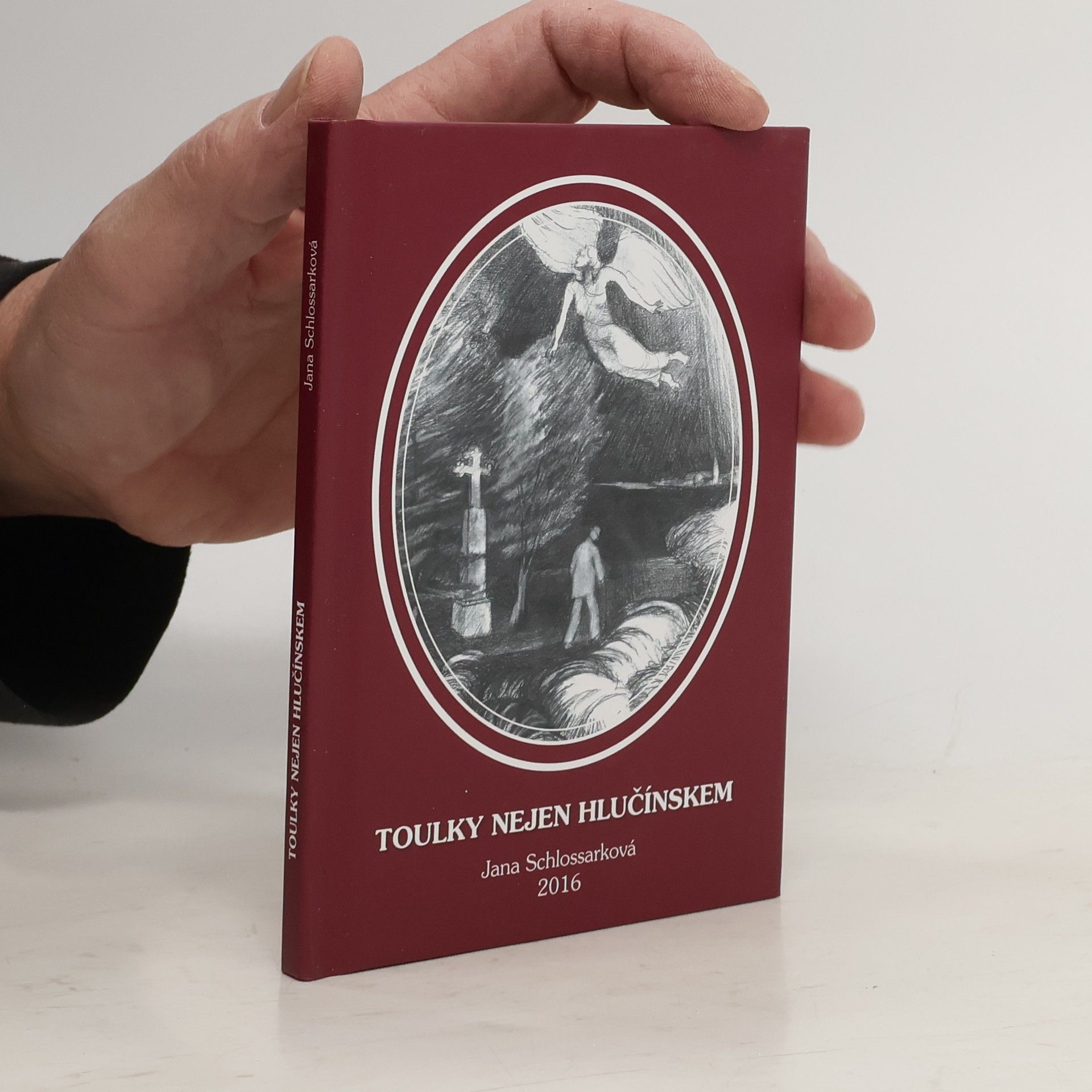 Toulky nejen Hlučínskem