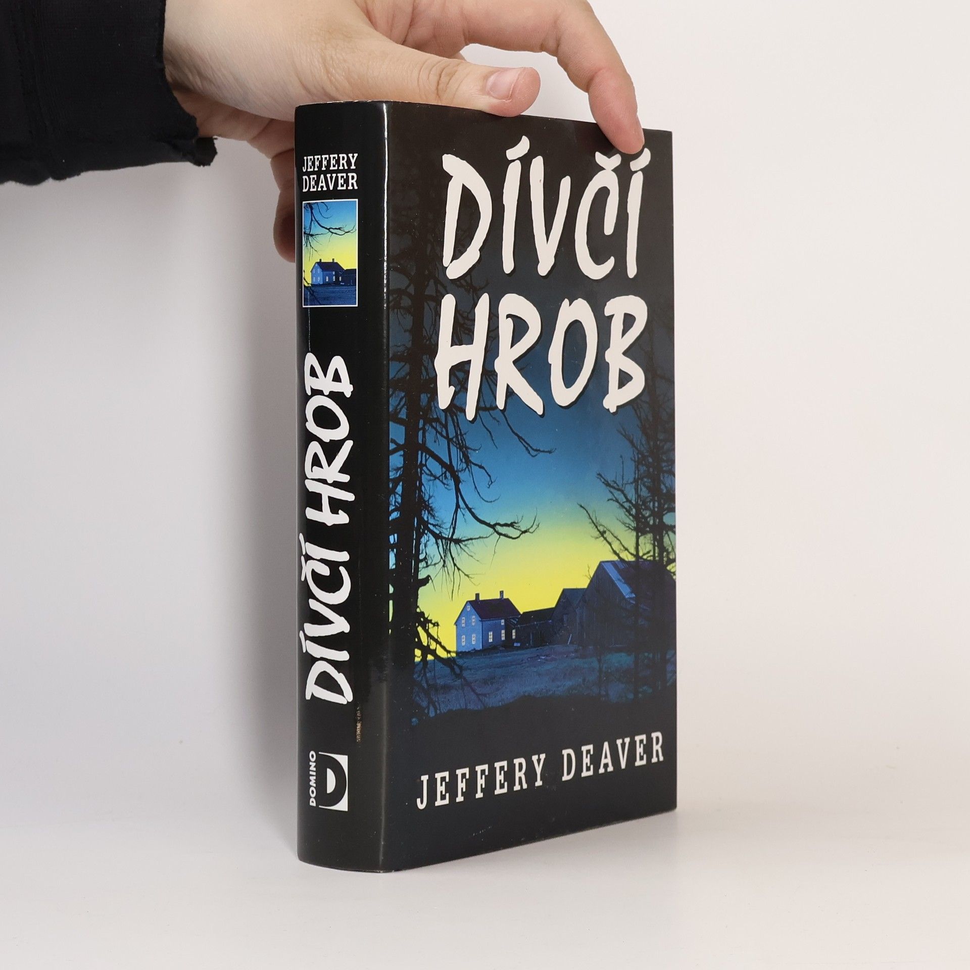 Jeffery Deaver Dívčí hrob