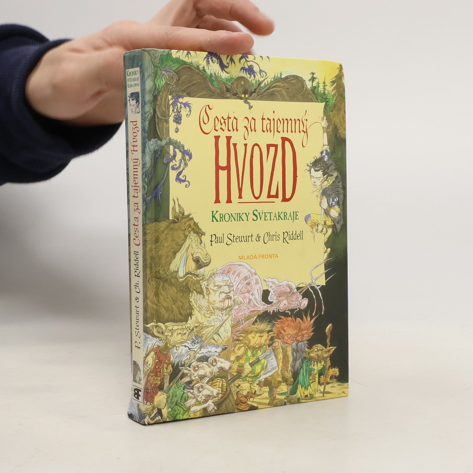 Paul Stewart Cesta za tajemný Hvozd. Kniha první