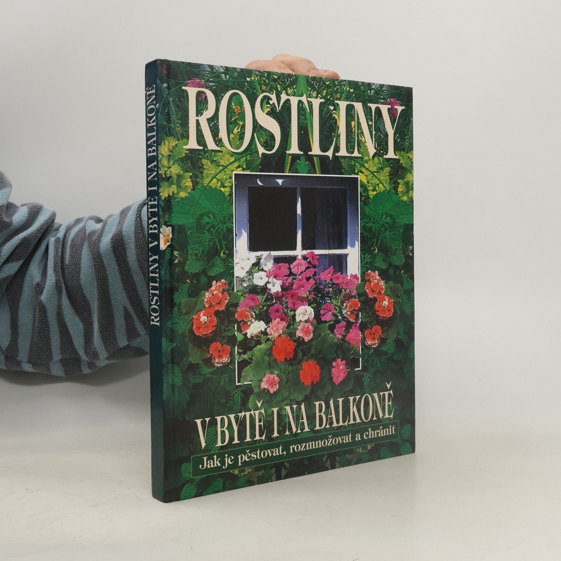 Kolektiv autorů Rostliny v bytě i na balkoně