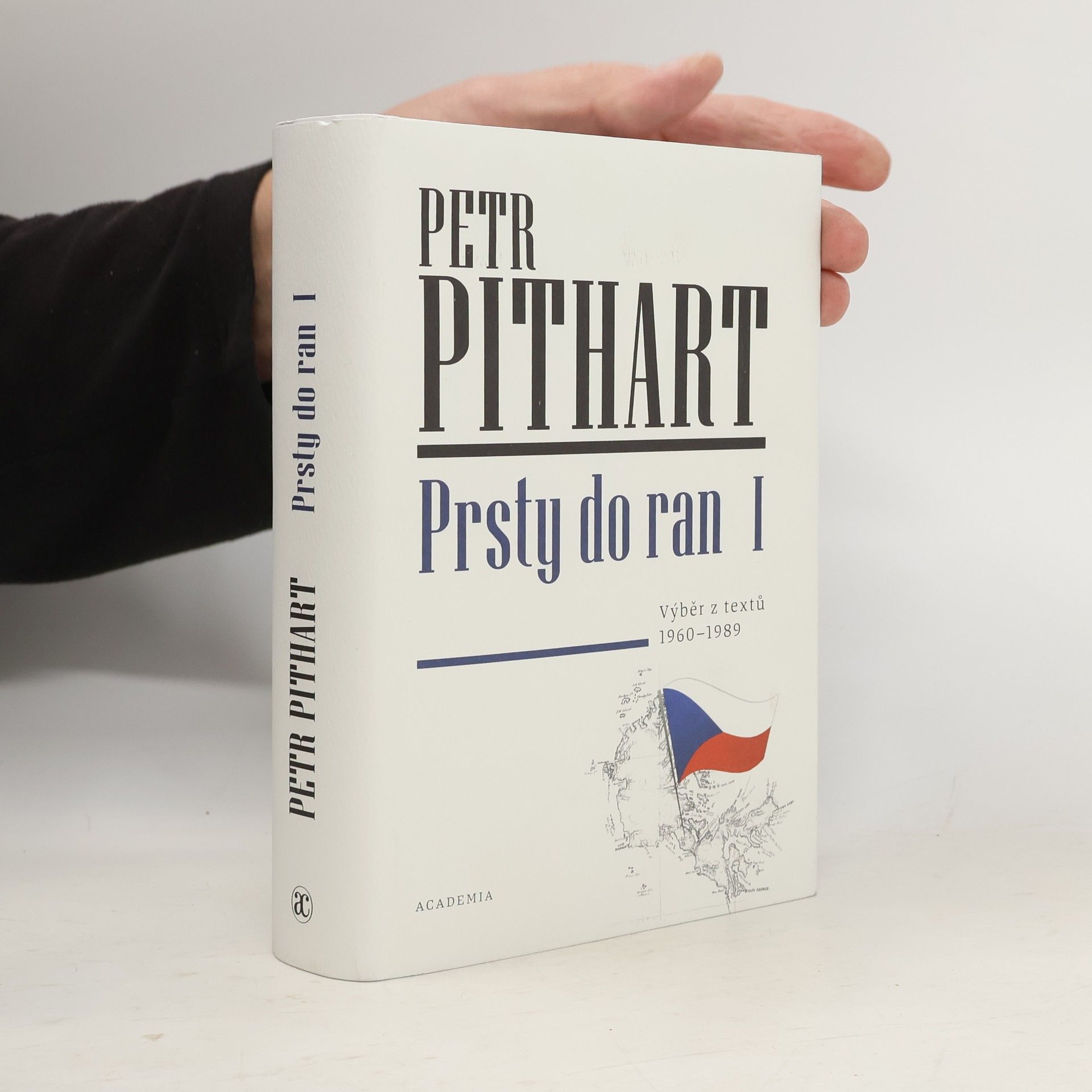 Petr Pithart Prsty do ran I