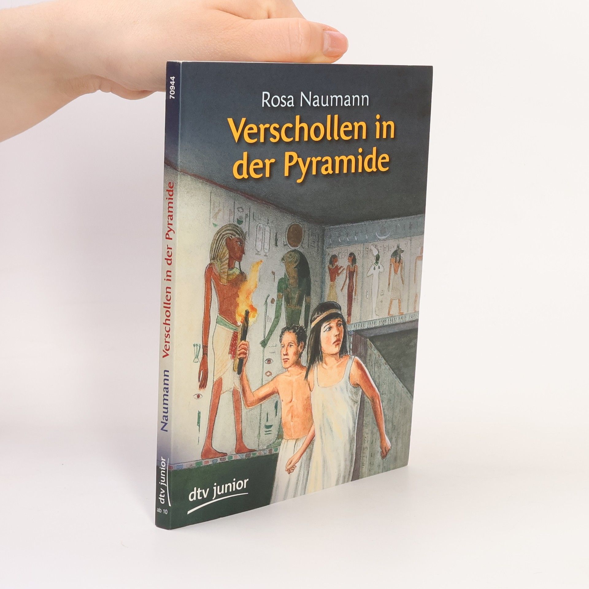 Rosa Naumann Verschollen in der Pyramide