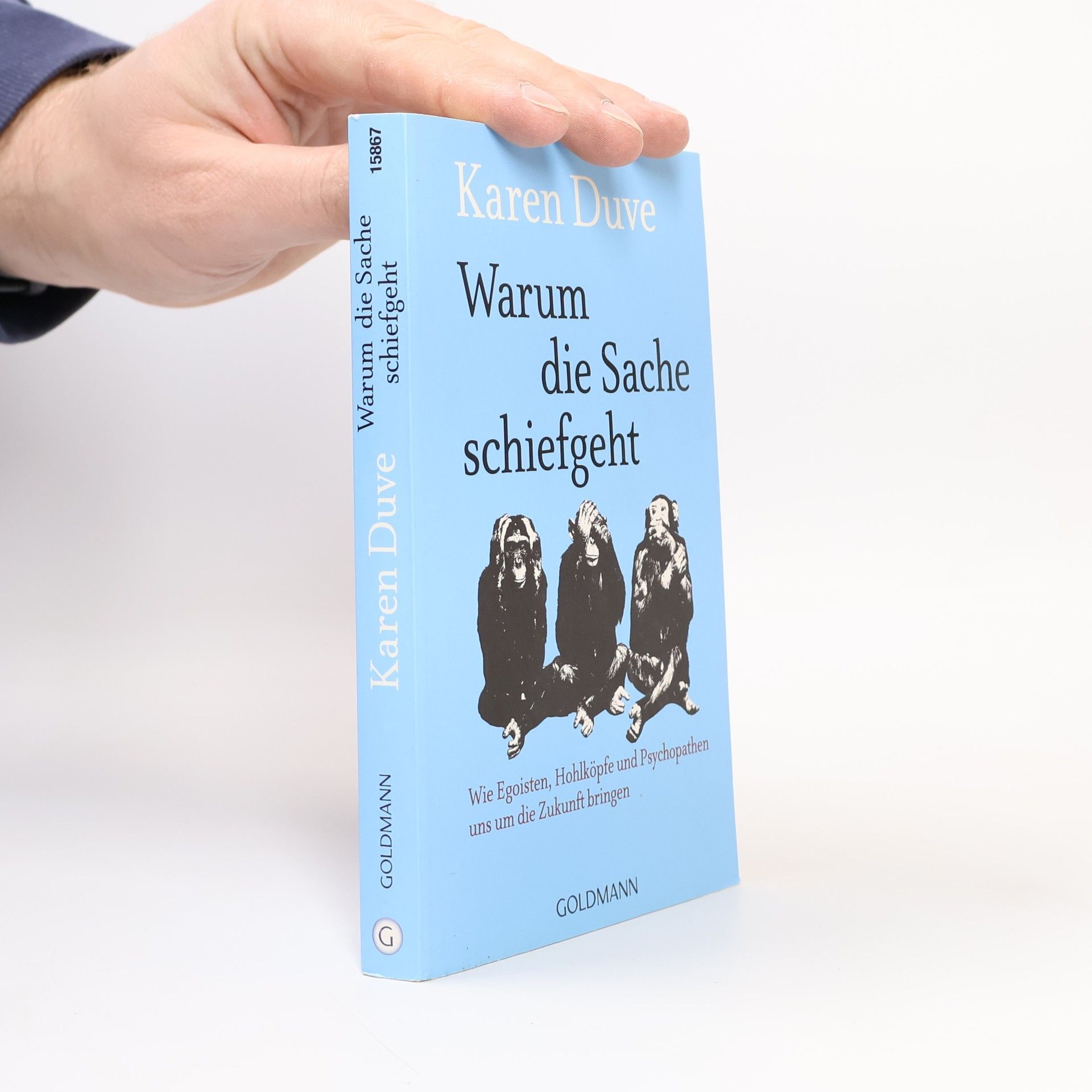 Karen Duve Warum die Sache schiefgeht