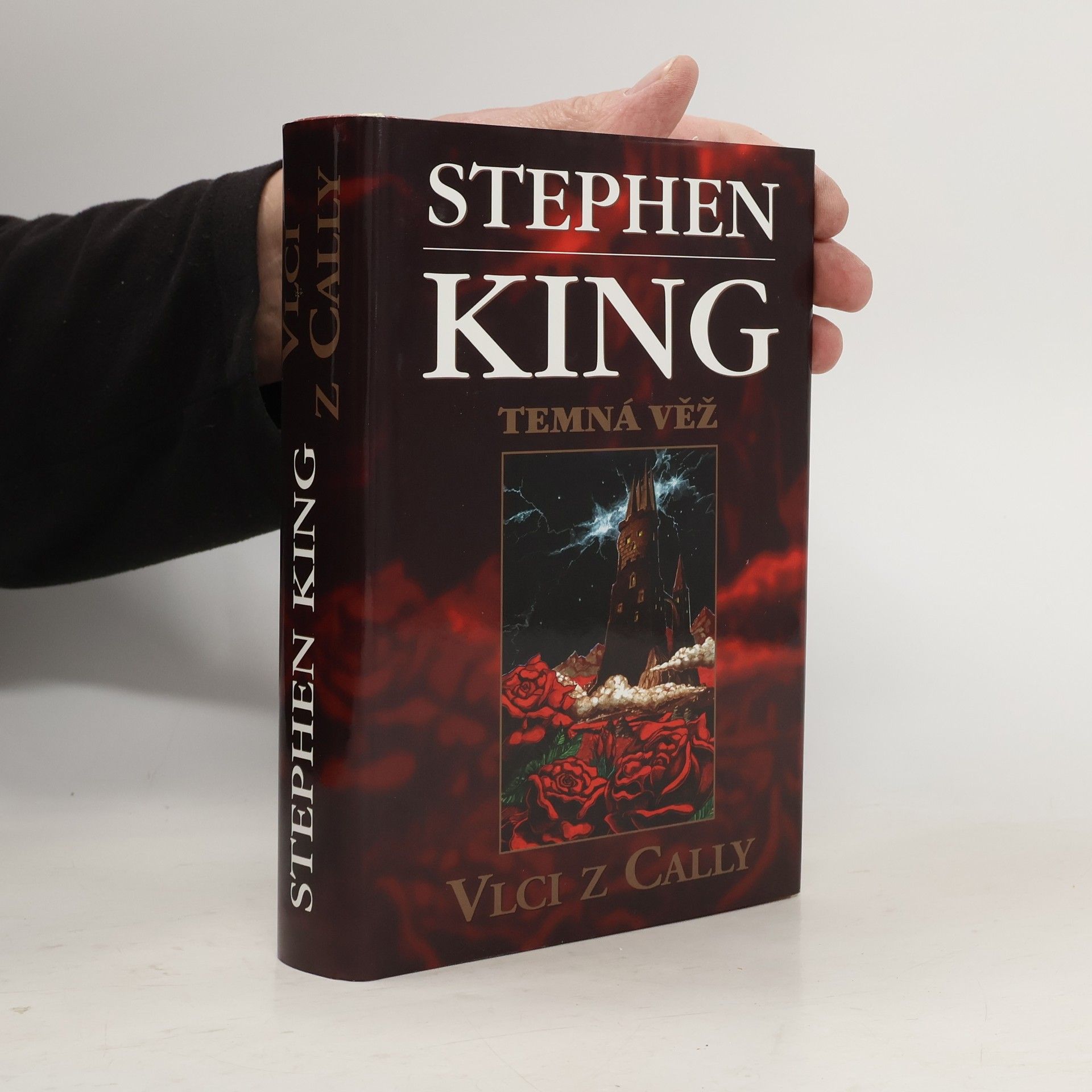 Stephen King Temná věž: Vlci z Cally