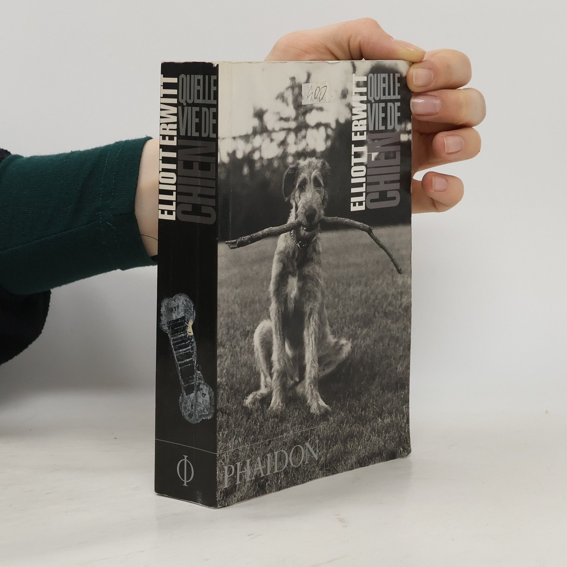 Elliott Erwitt Dog Dogs