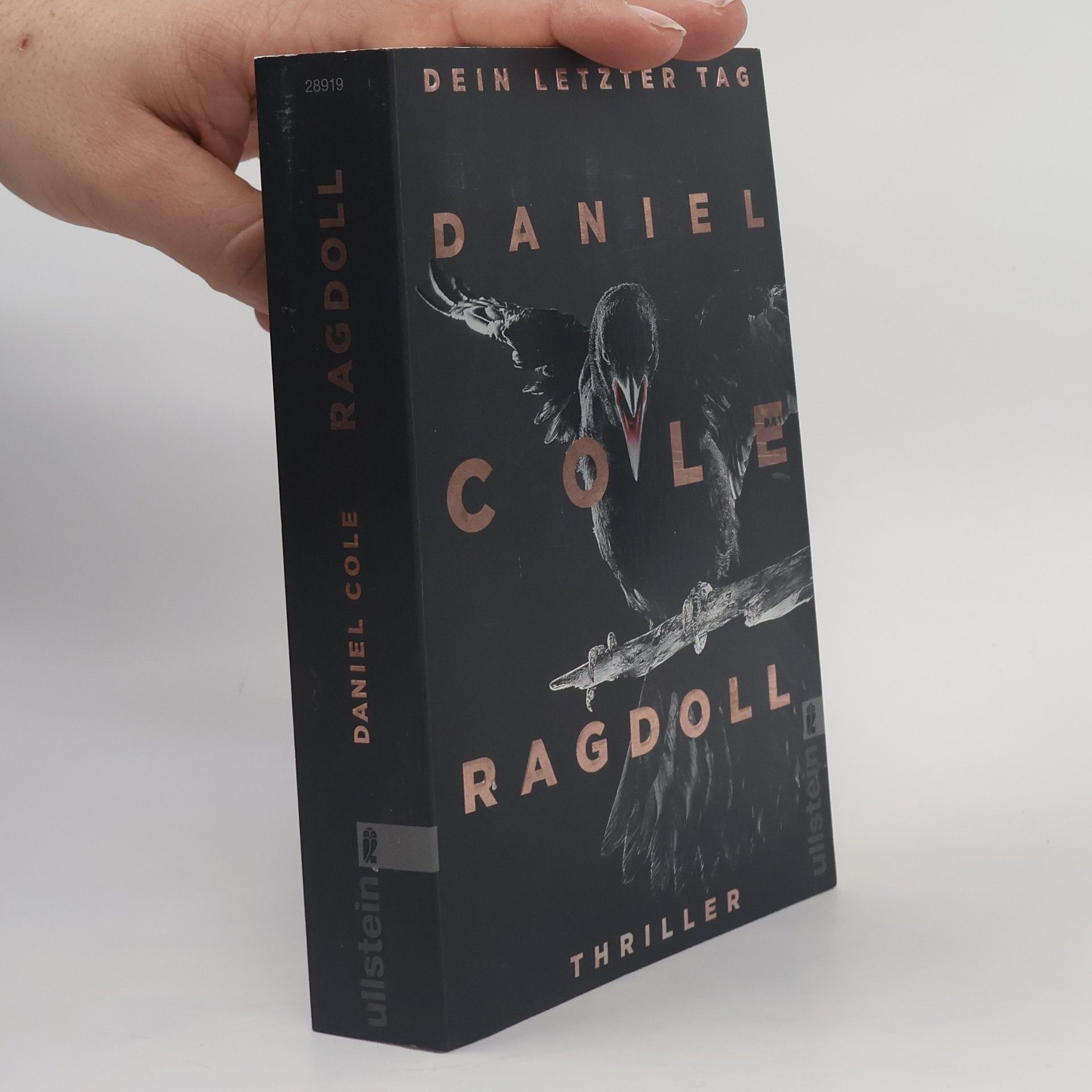 Daniel Cole Ragdoll