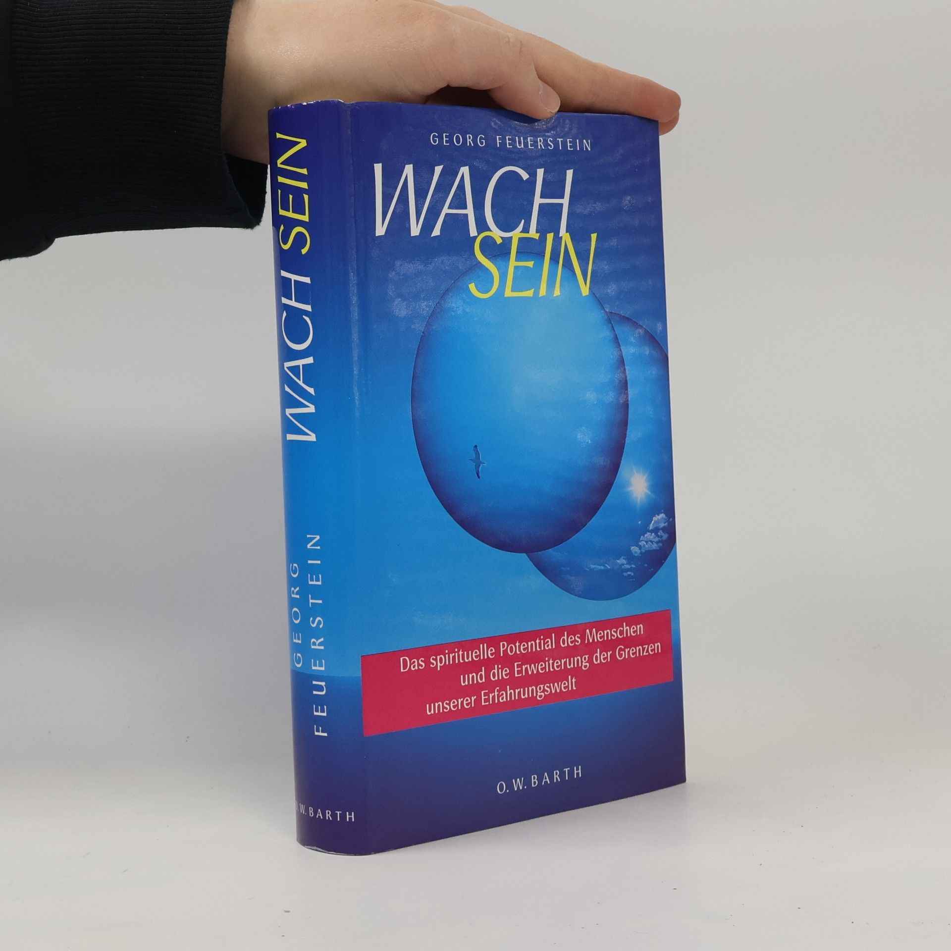 Georg Feuerstein Wach sein
