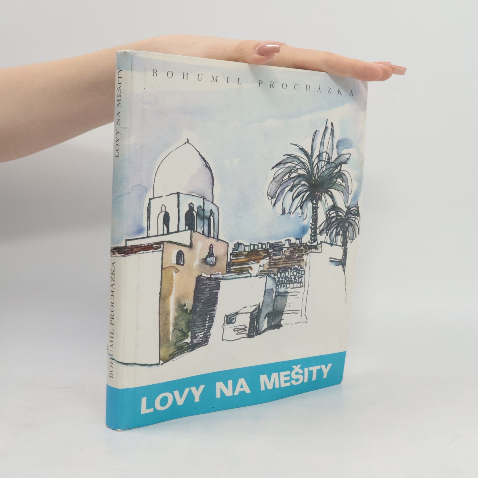 Amjad Bohumil Procházka Lovy na mešity