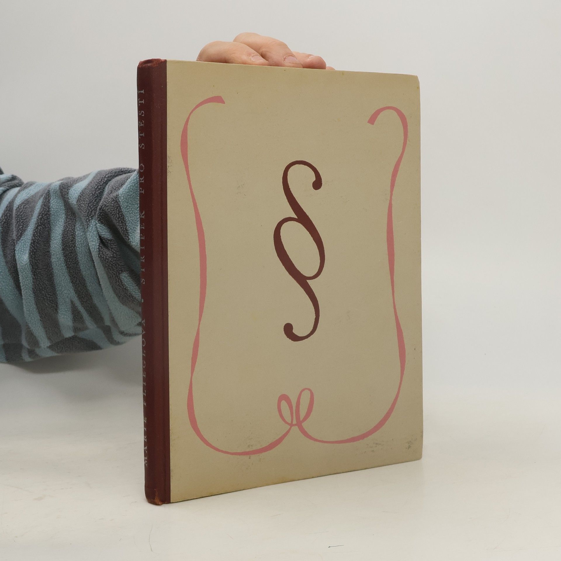 Marie Flieglová Střípek pro štěstí