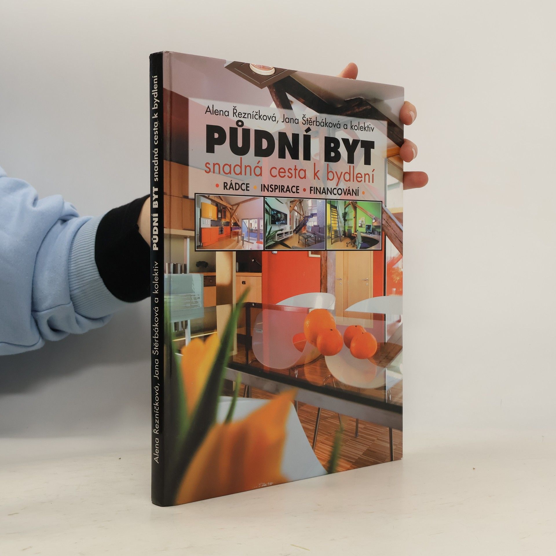 Alena Řezníčková Půdní byt: Snadná cesta k bydlení : rádce, inspirace, financování