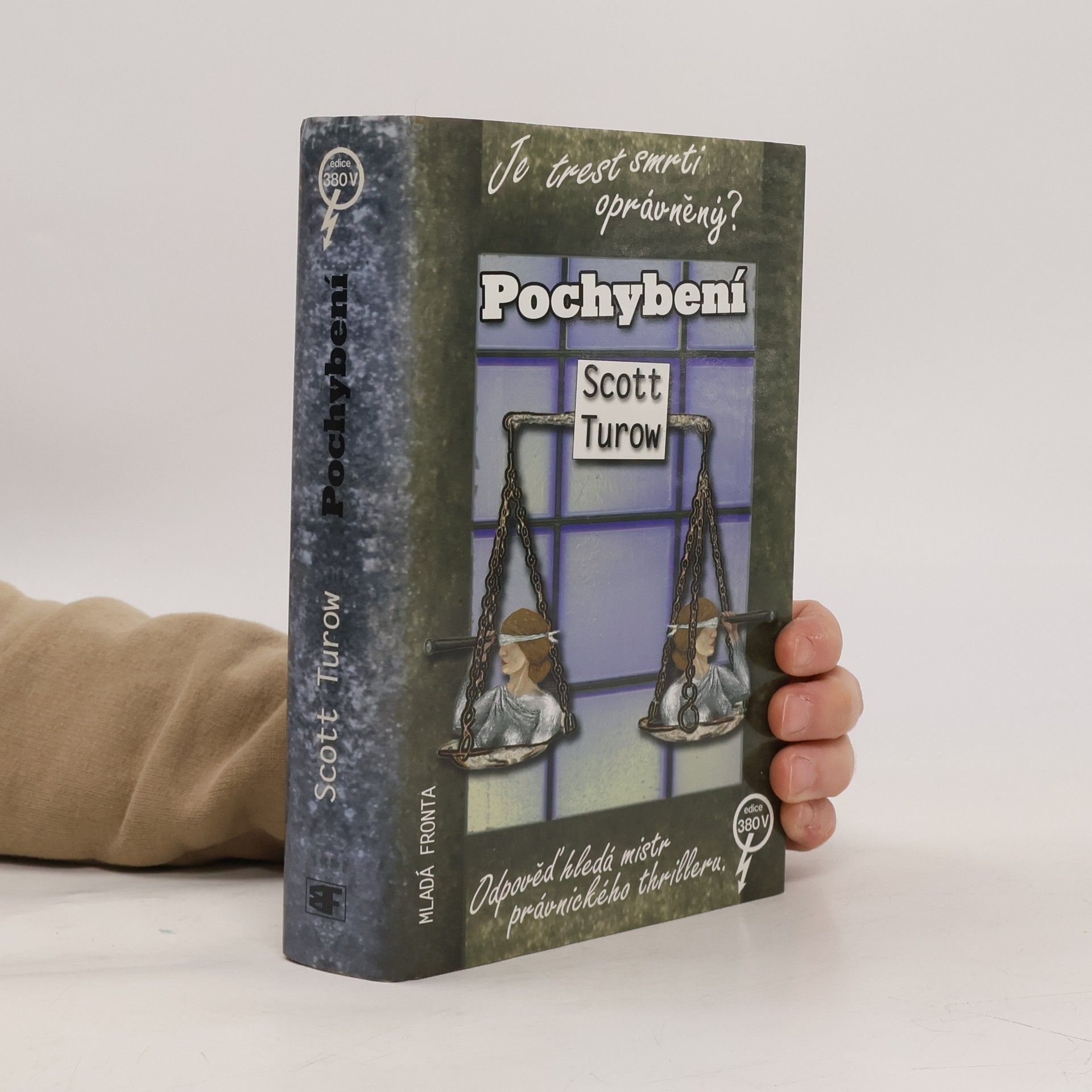 Scott Turow Pochybení