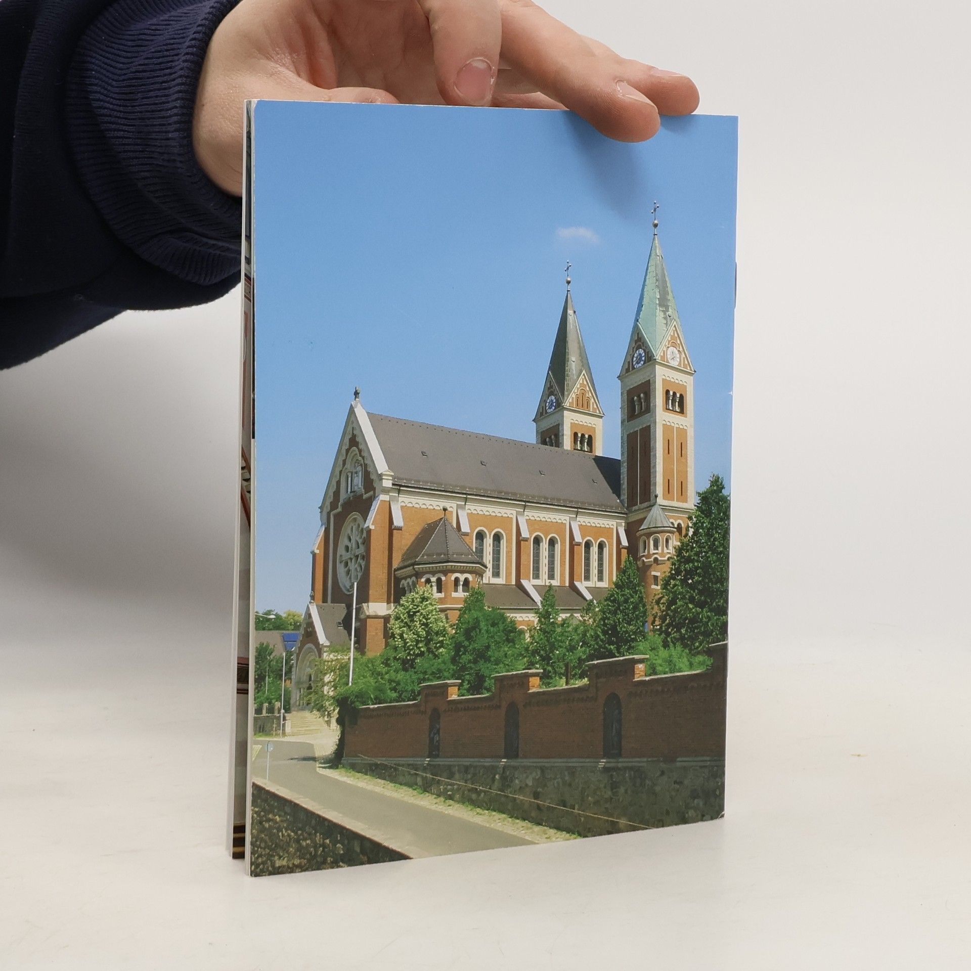 Klosterkirche der Redemptoristen Maria Hilf in Cham