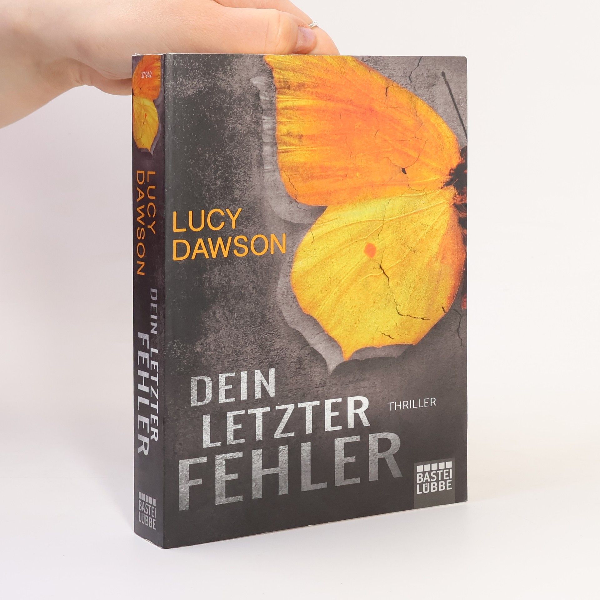 Lucy Dawson Dein letzter Fehler