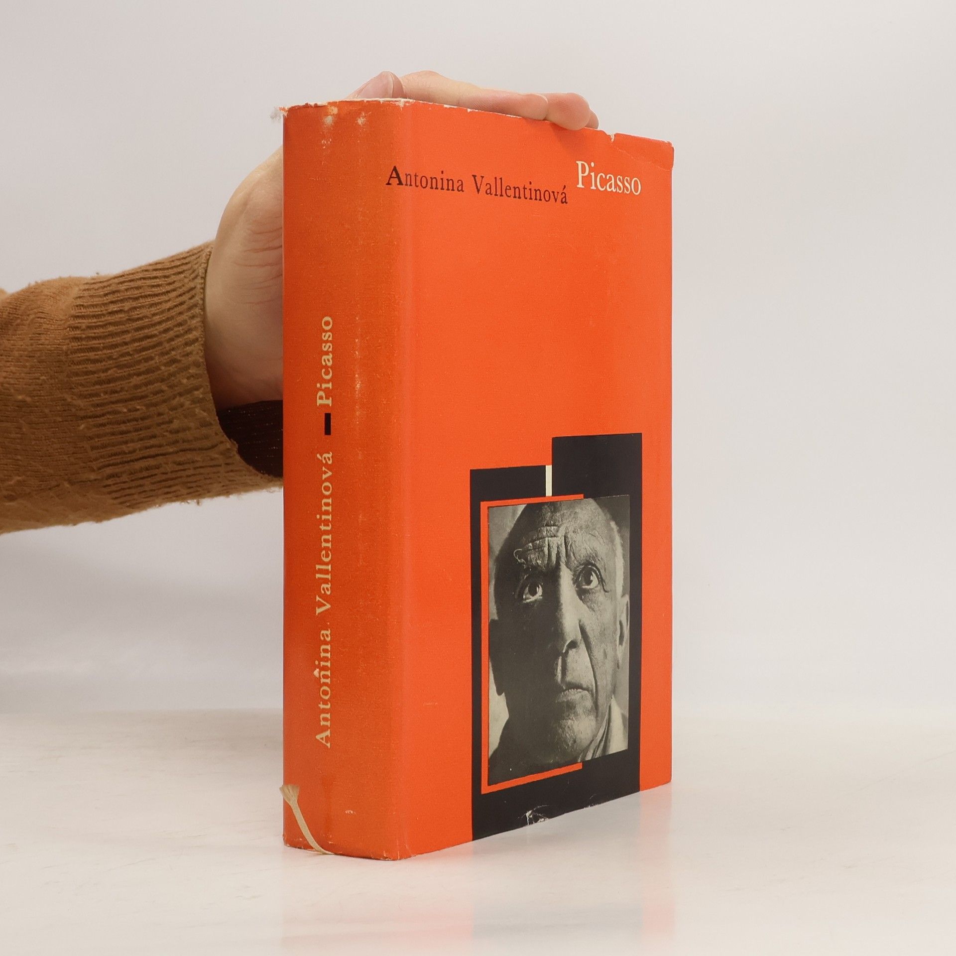 Antonina Vallentin Picasso