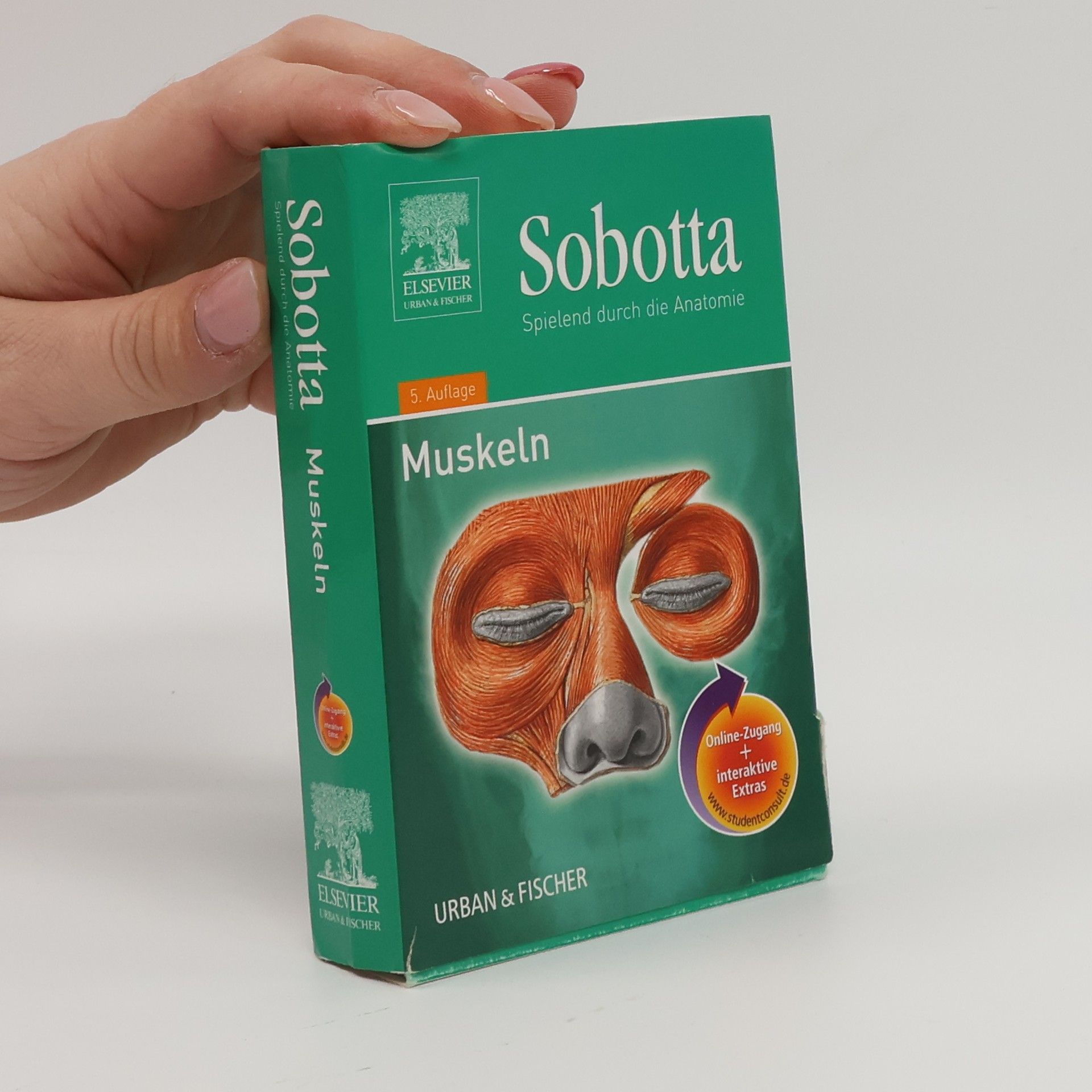 Autorenkollektiv Sobotta. Muskeln