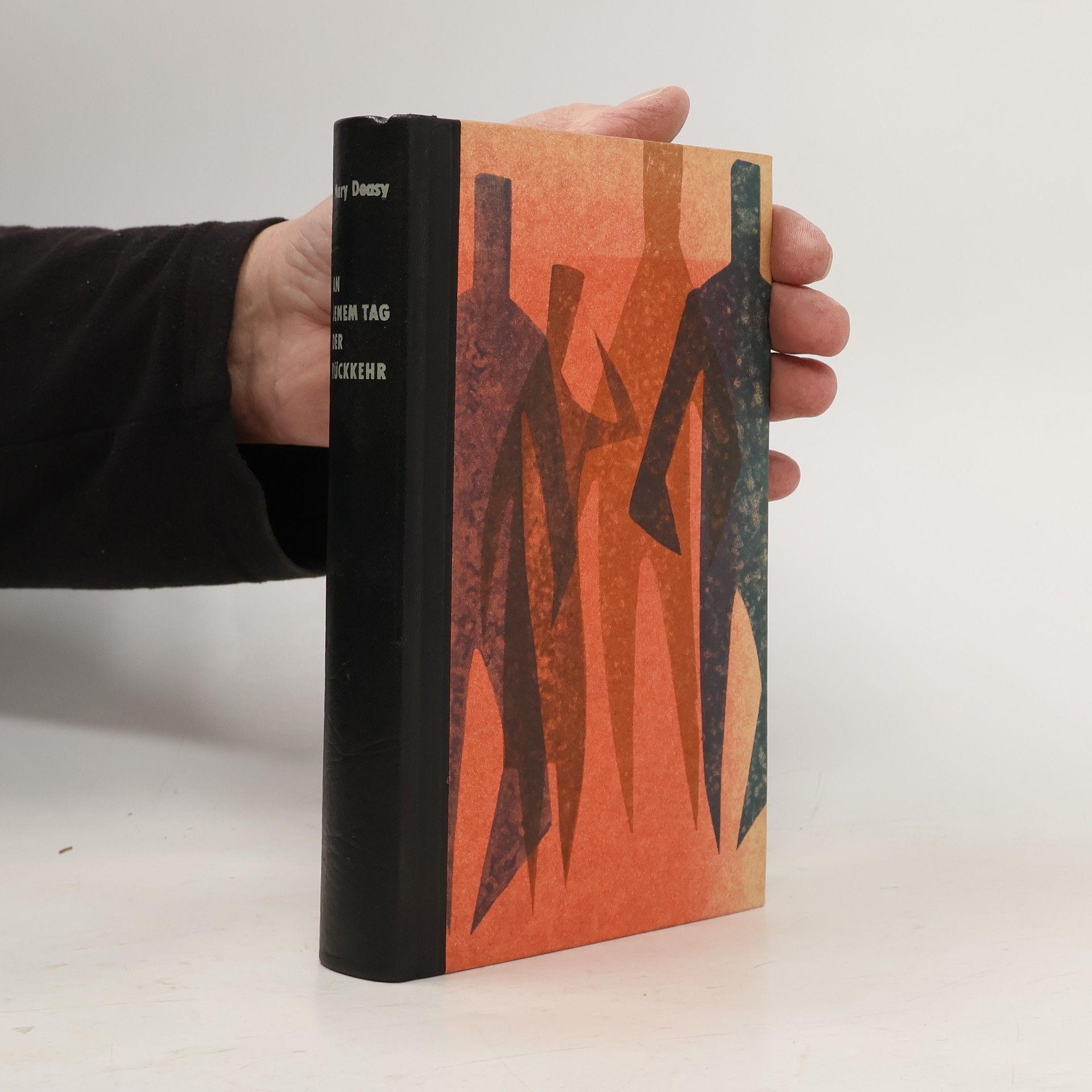 Mary Deasy An jenem Tag der Rückkehr