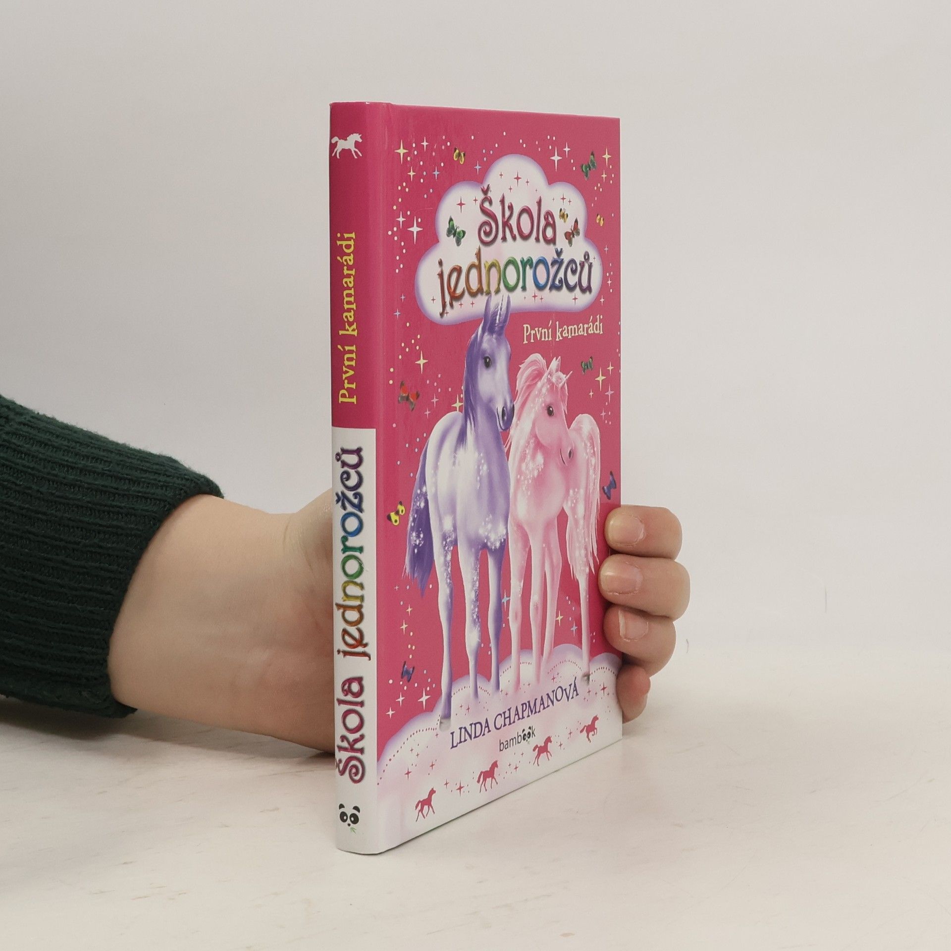 Linda Chapman Škola jednorožců - První kamarádi