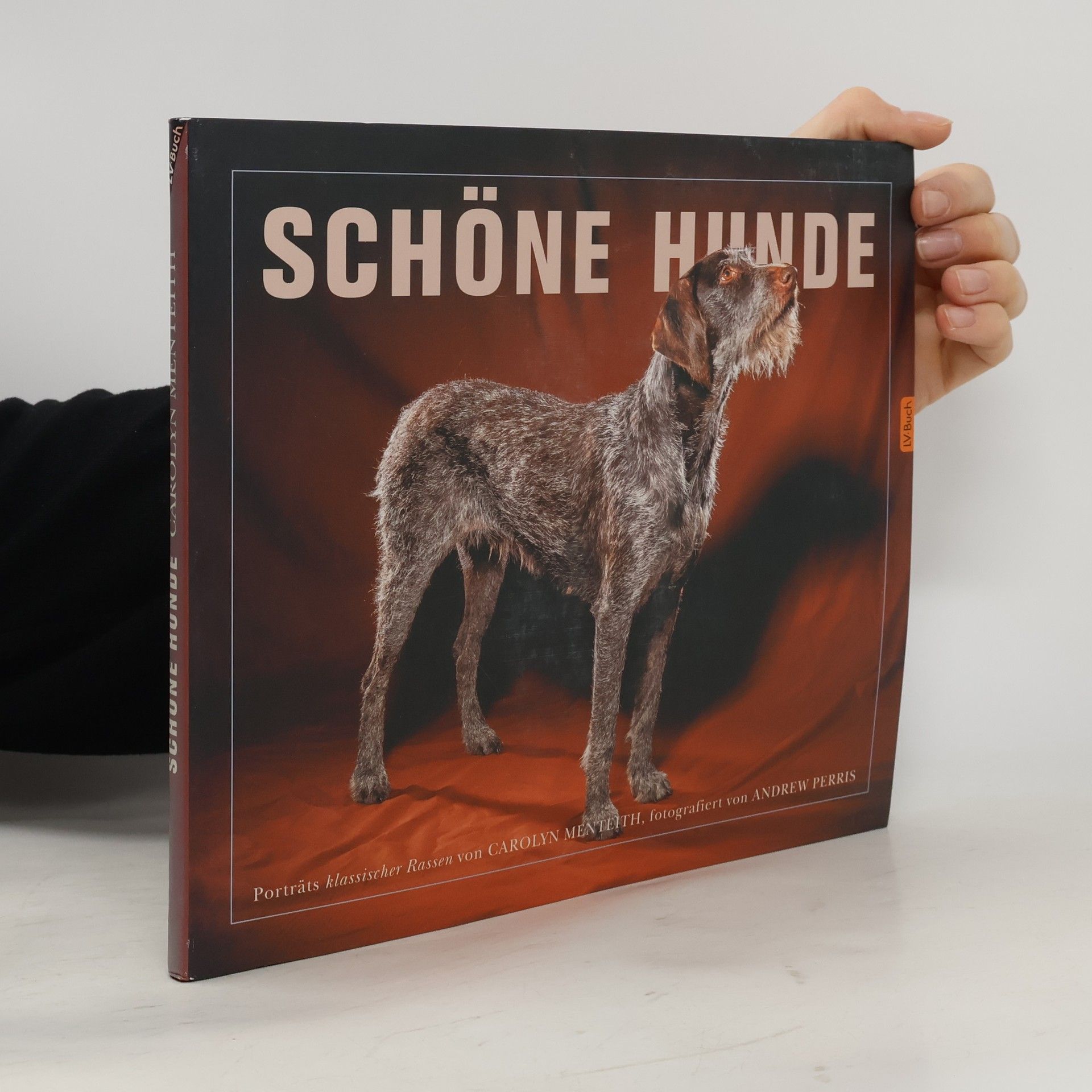 Schöne Hunde