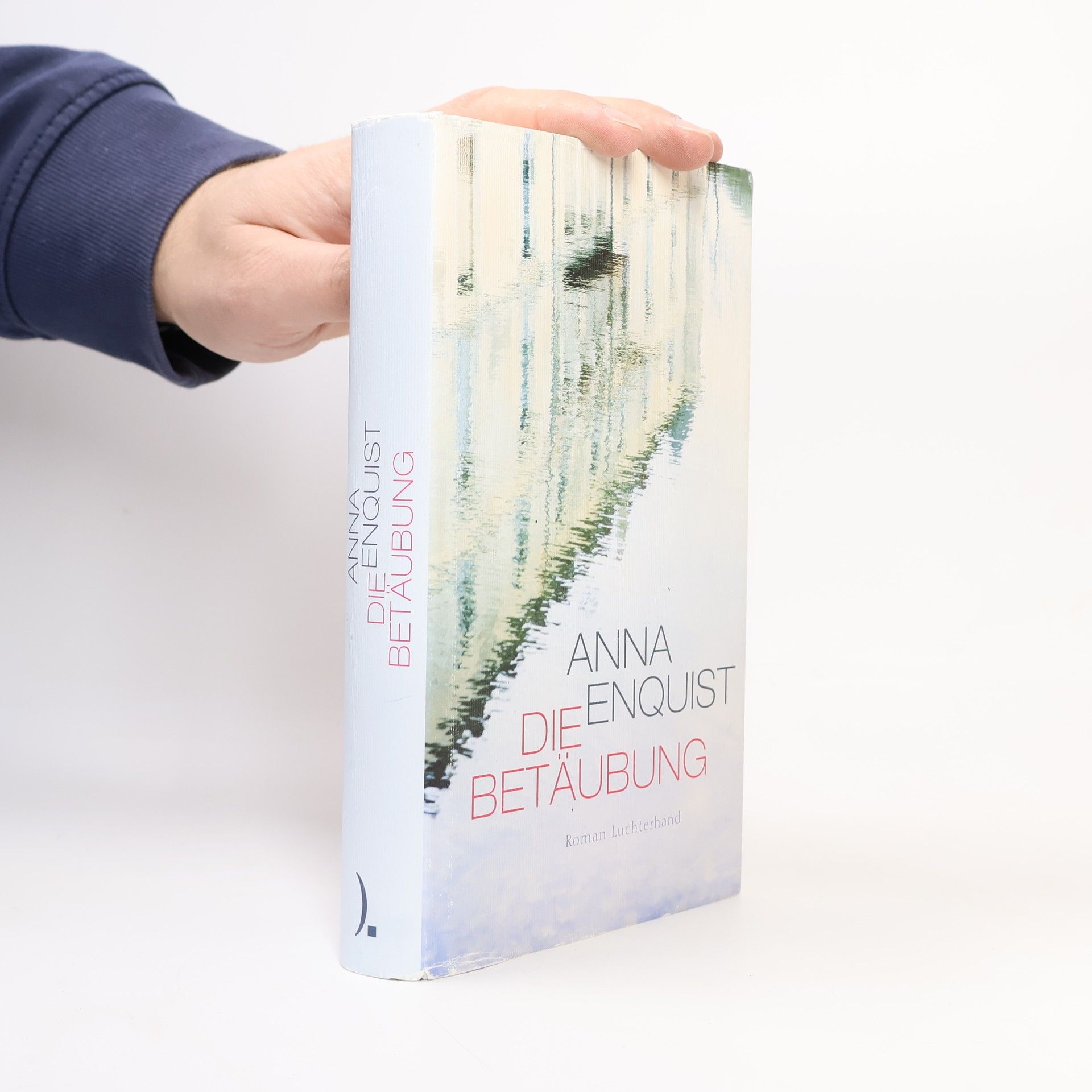 Anna Enquist Die Betäubung