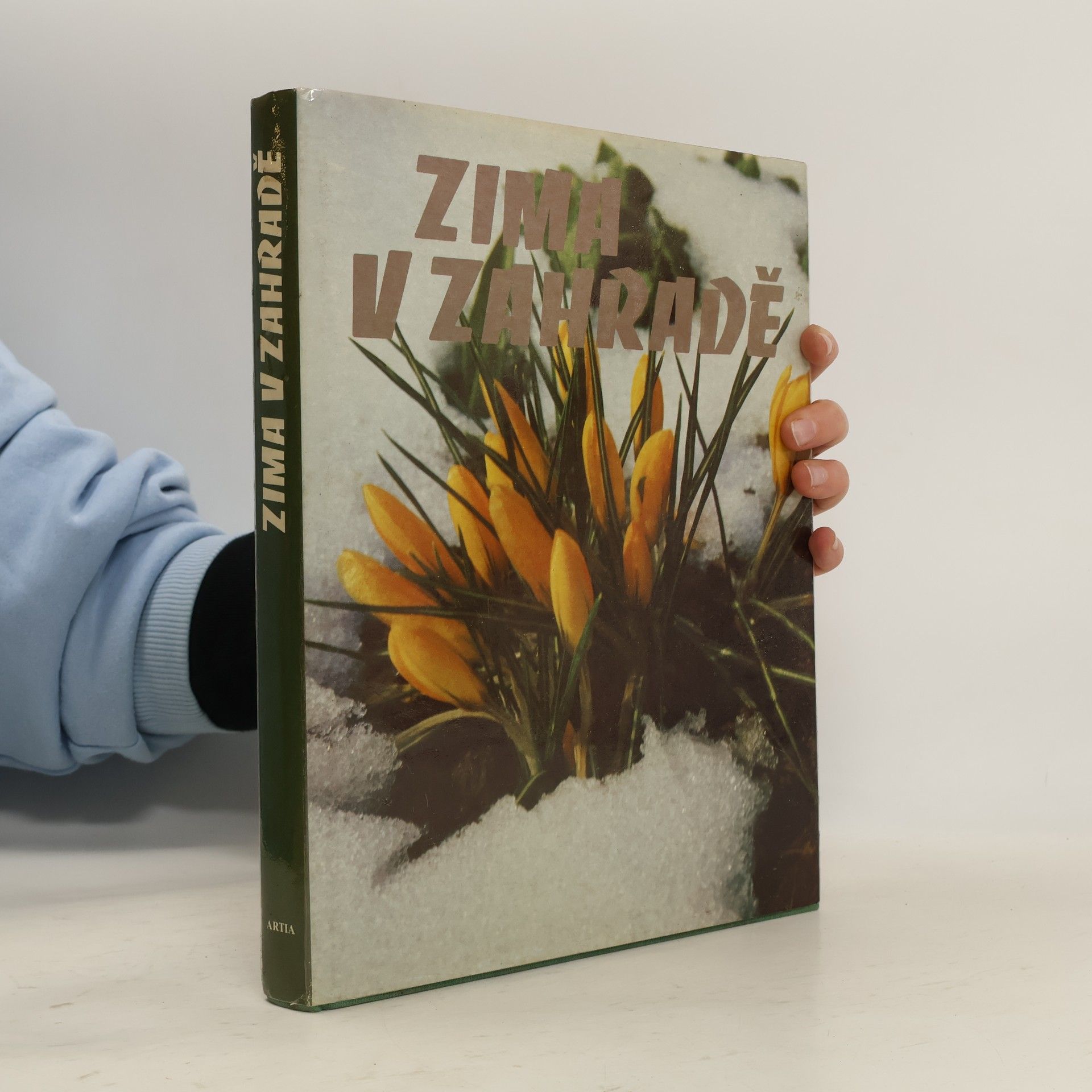 Kolektiv autorů Zima v zahradě