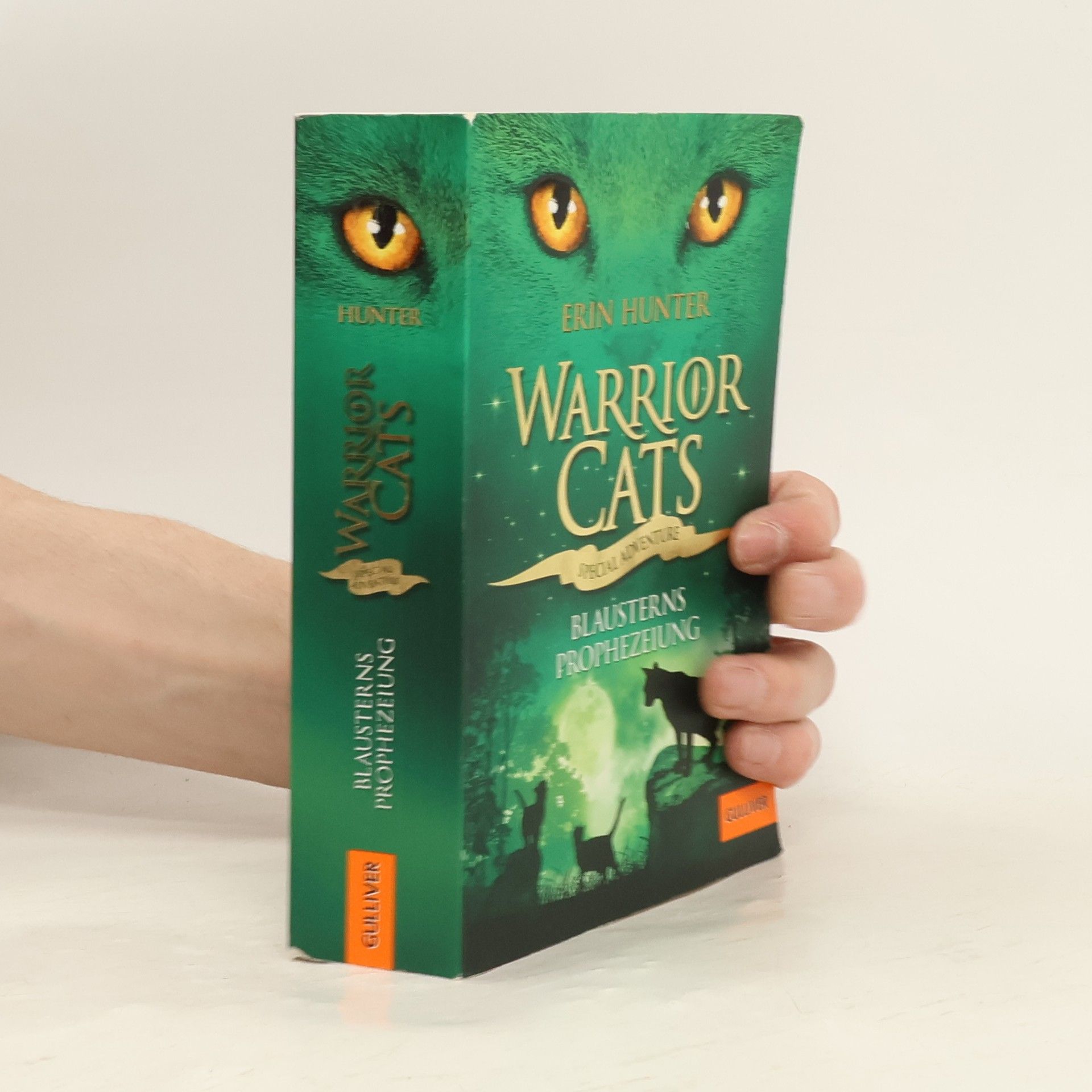 Warrior Cats - Special Adventure, Blausterns Prophezeiung