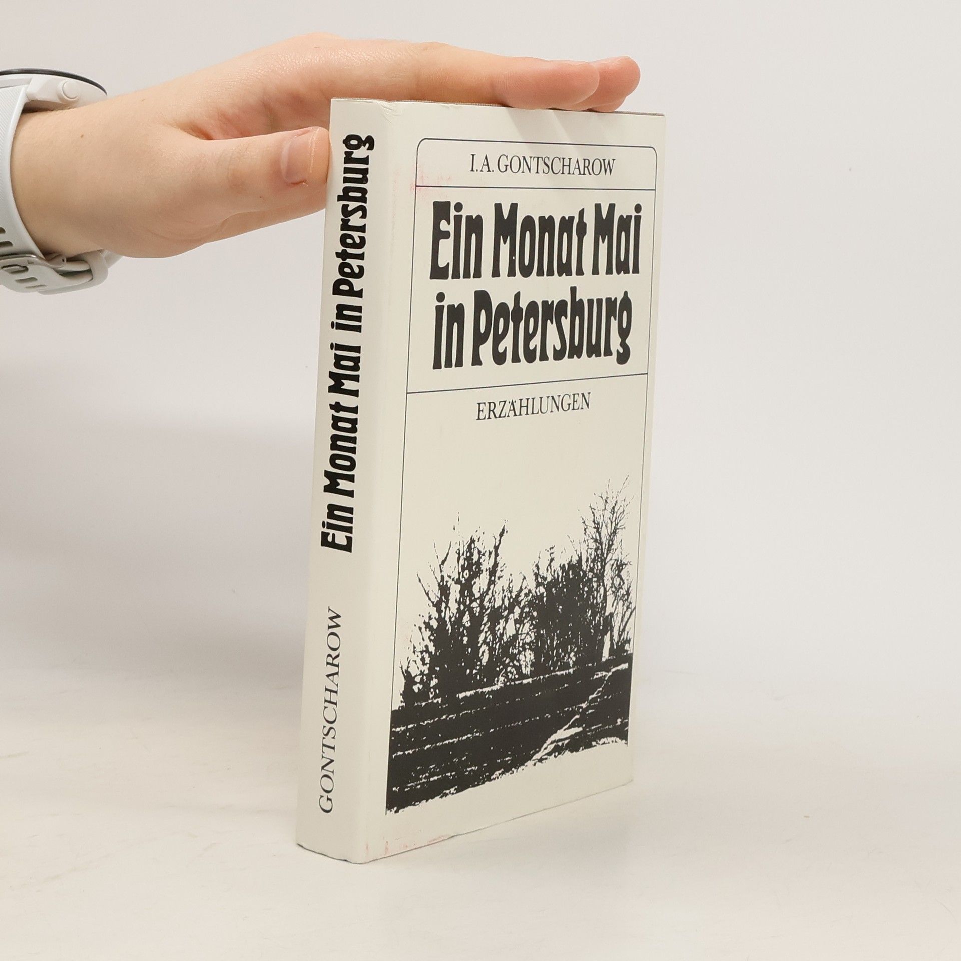 Ivan Alexandrovič Gončarov Ein Monat Mai in Petersburg