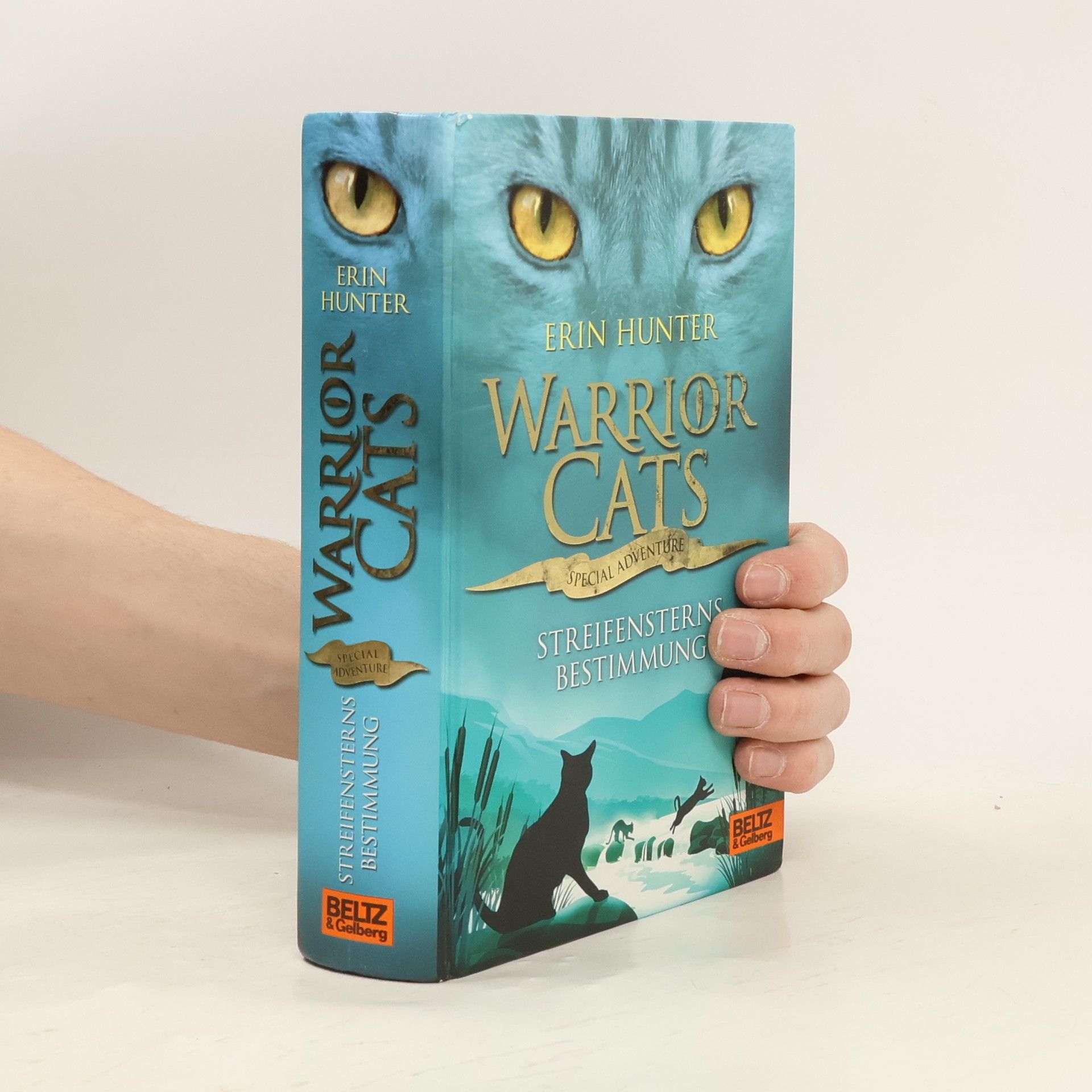 Erin Hunter Warrior cats - special adventure