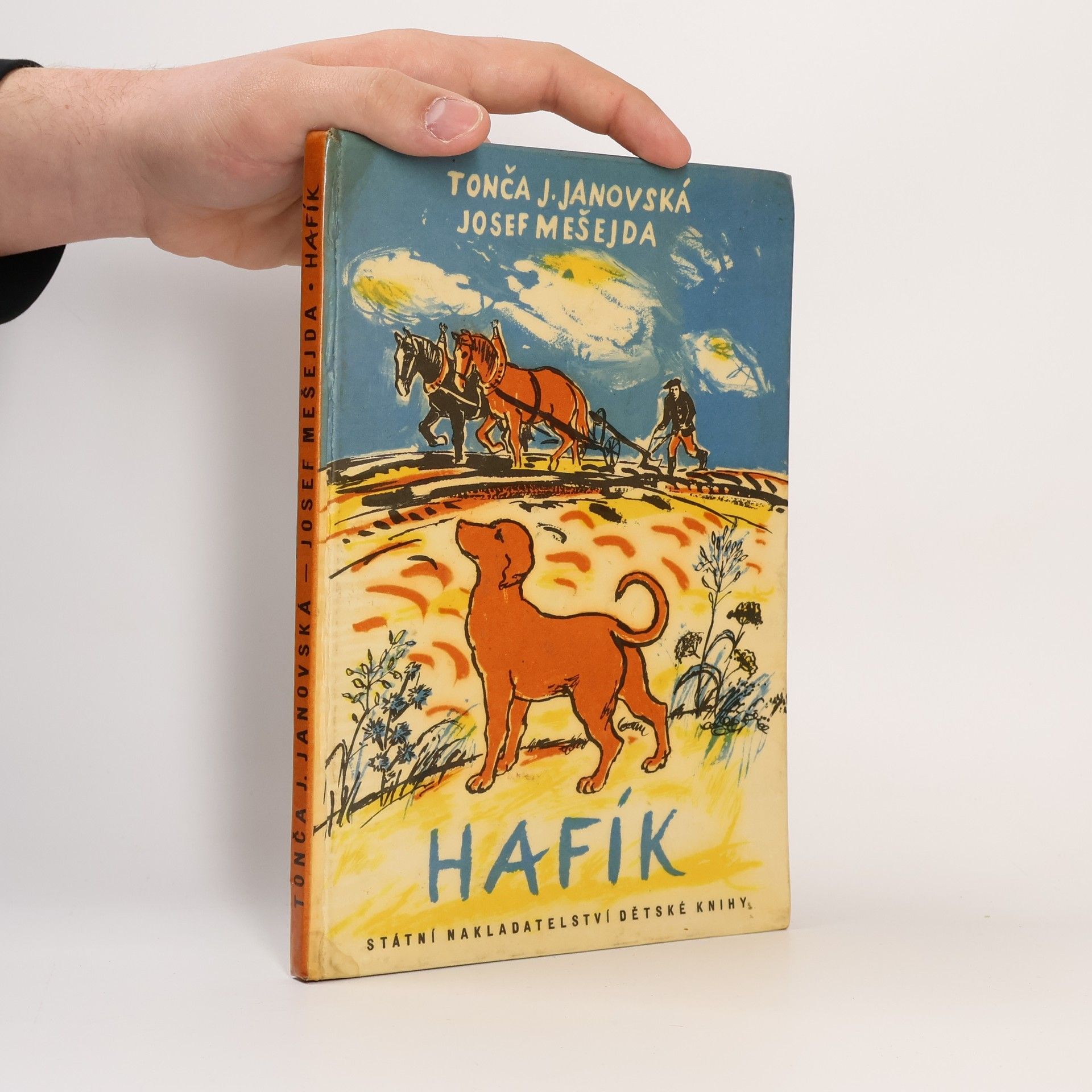 Tonča Josefina Janovská Hafík