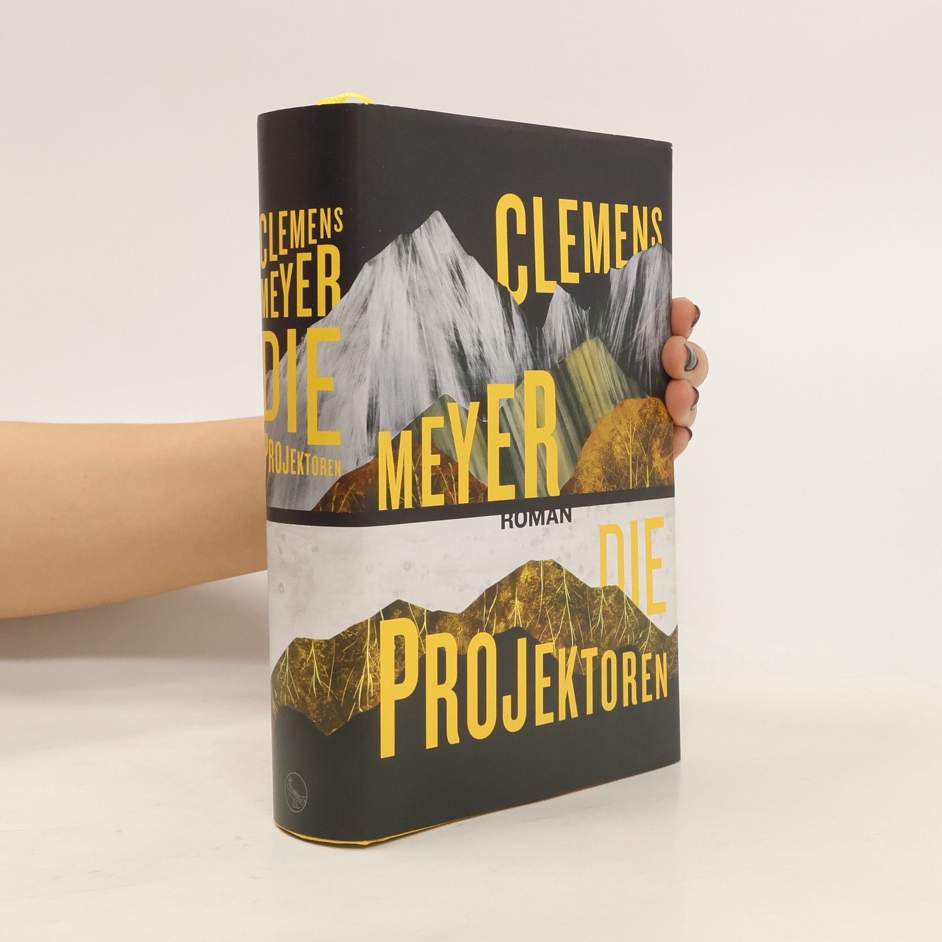 Clemens Meyer Die Projektoren