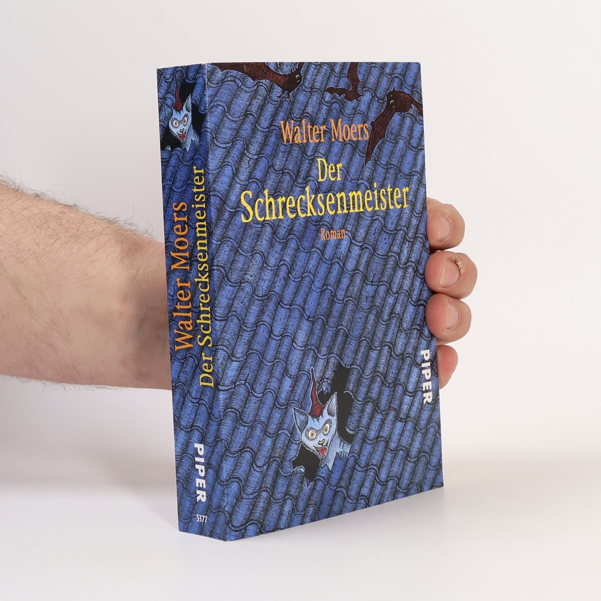 Walter Moers Der Schrecksenmeister
