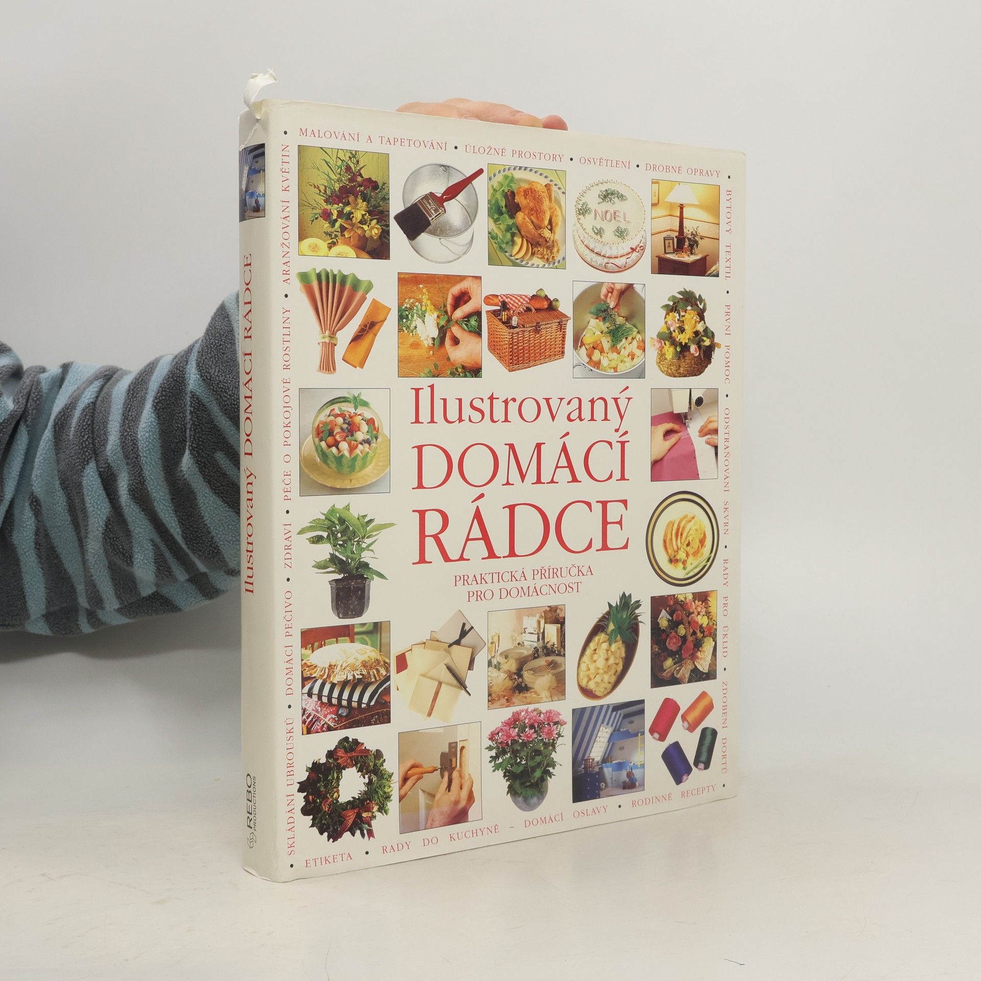 Ilustrovaný domácí rádce