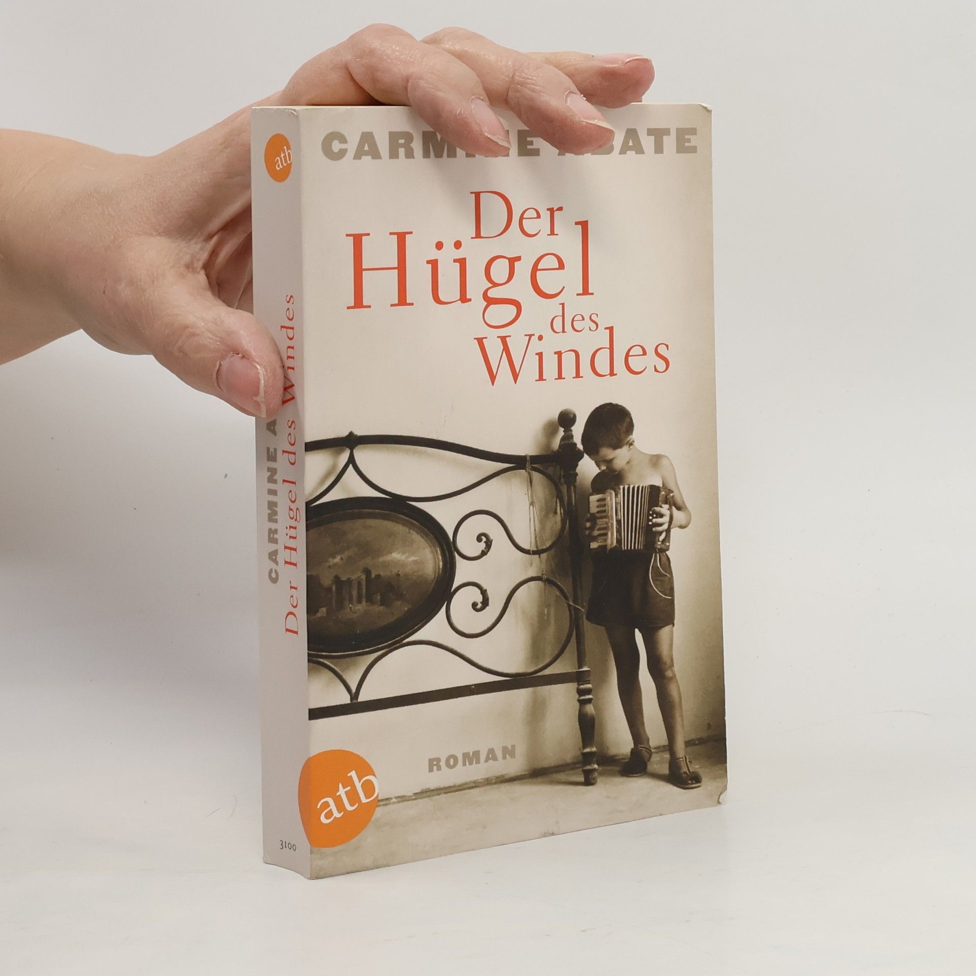 Carmine Abate Der Hügel des Windes