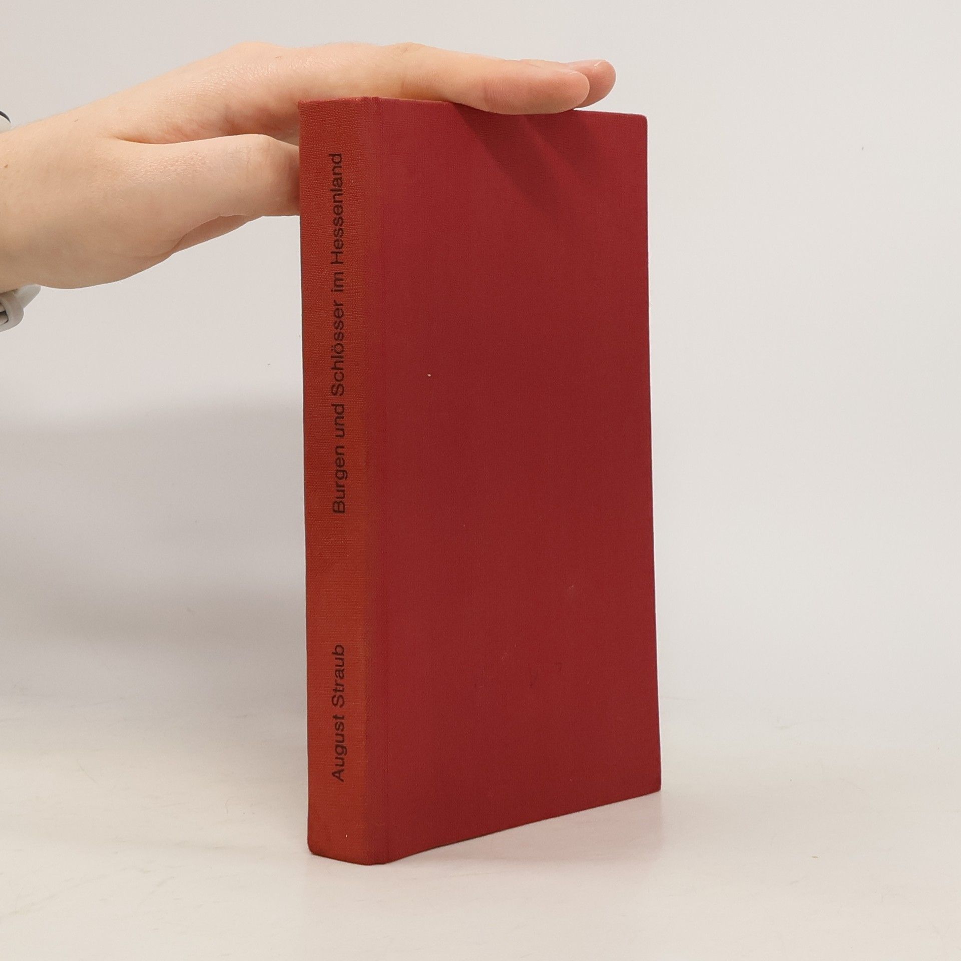 August Straub Burgen schlösser im Hessenland