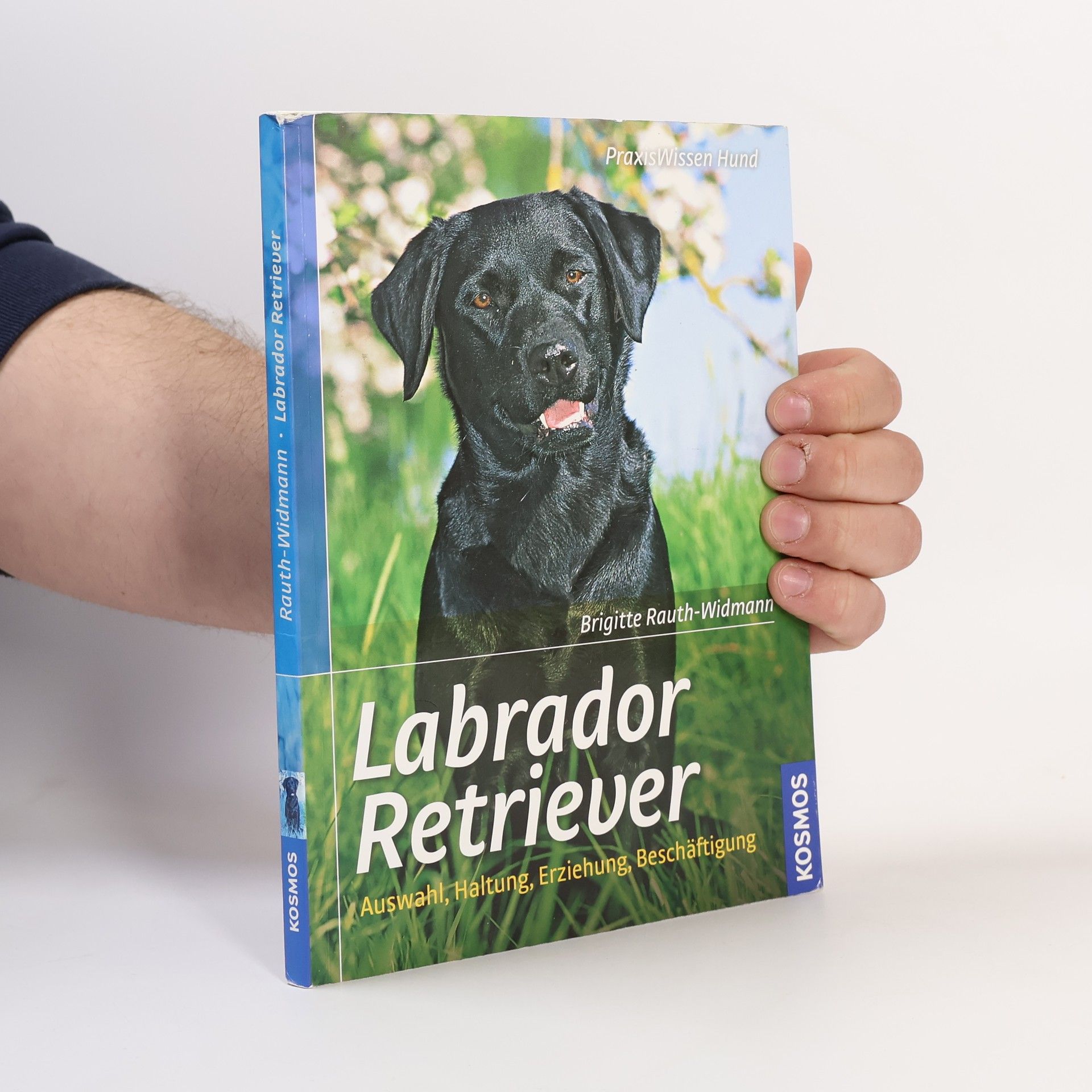 Brigitte Rauth Widmann Labrador Retriever