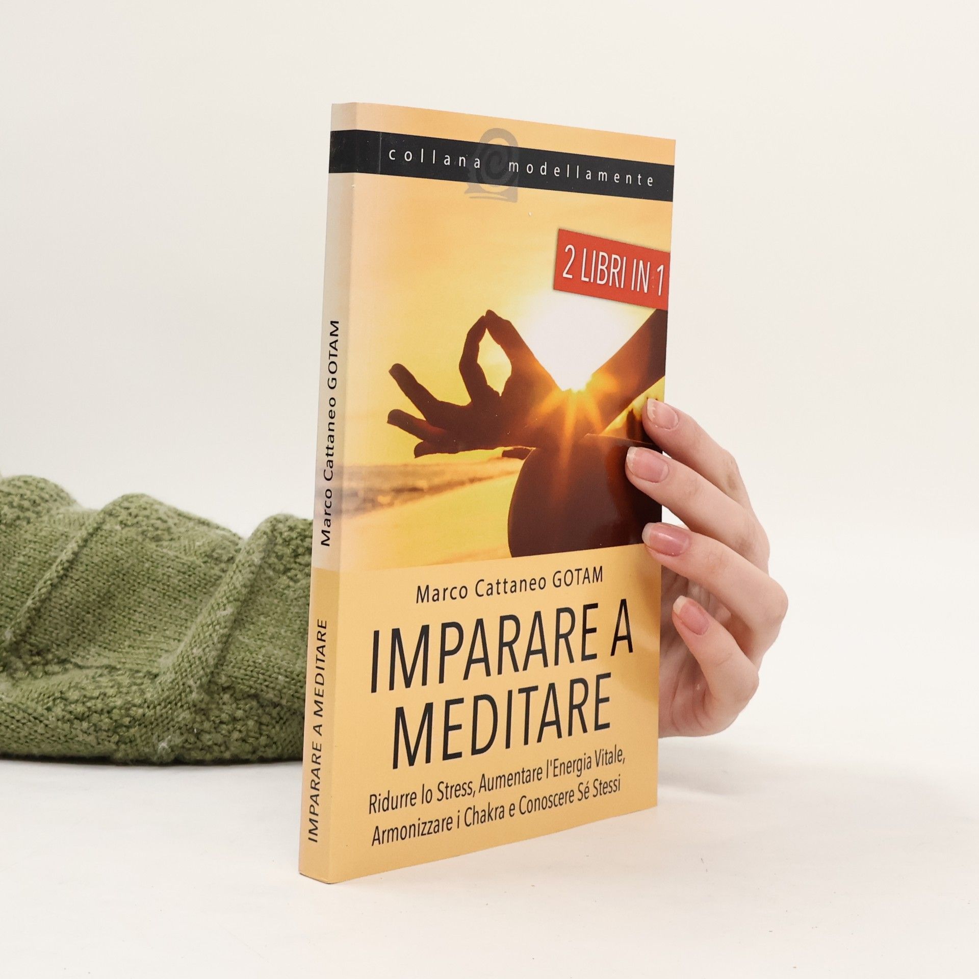 Marco Cattaneo Gotam Imparare a meditare