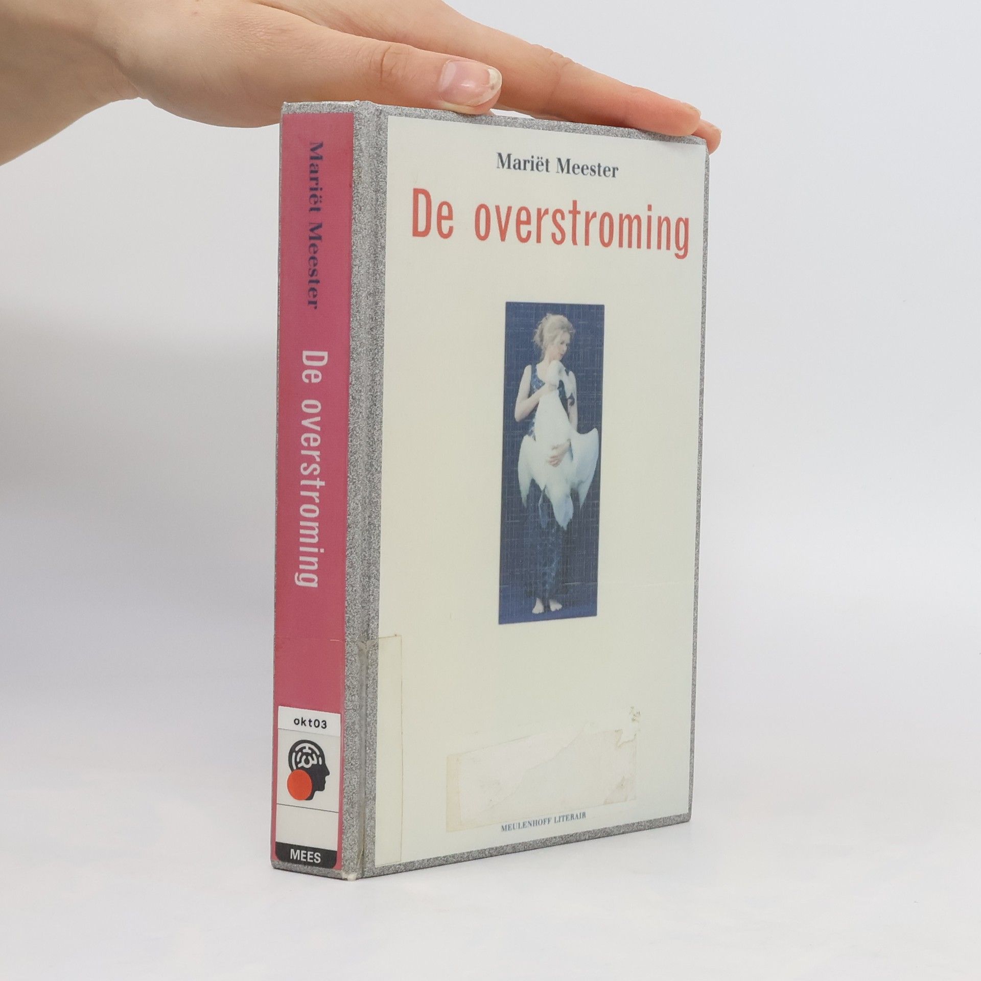 Meulenhoff Editie: De overstroming