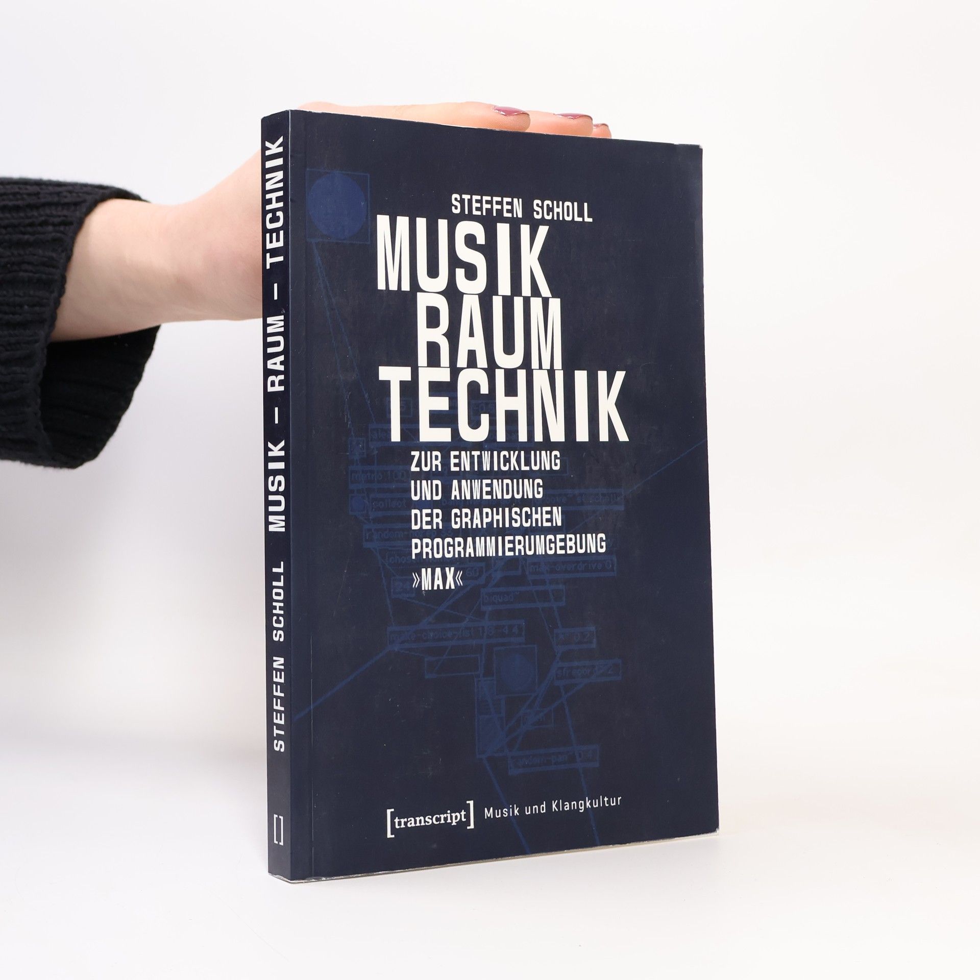 Steffen Scholl Musik und Klangkultur: Musik - Raum - Technik