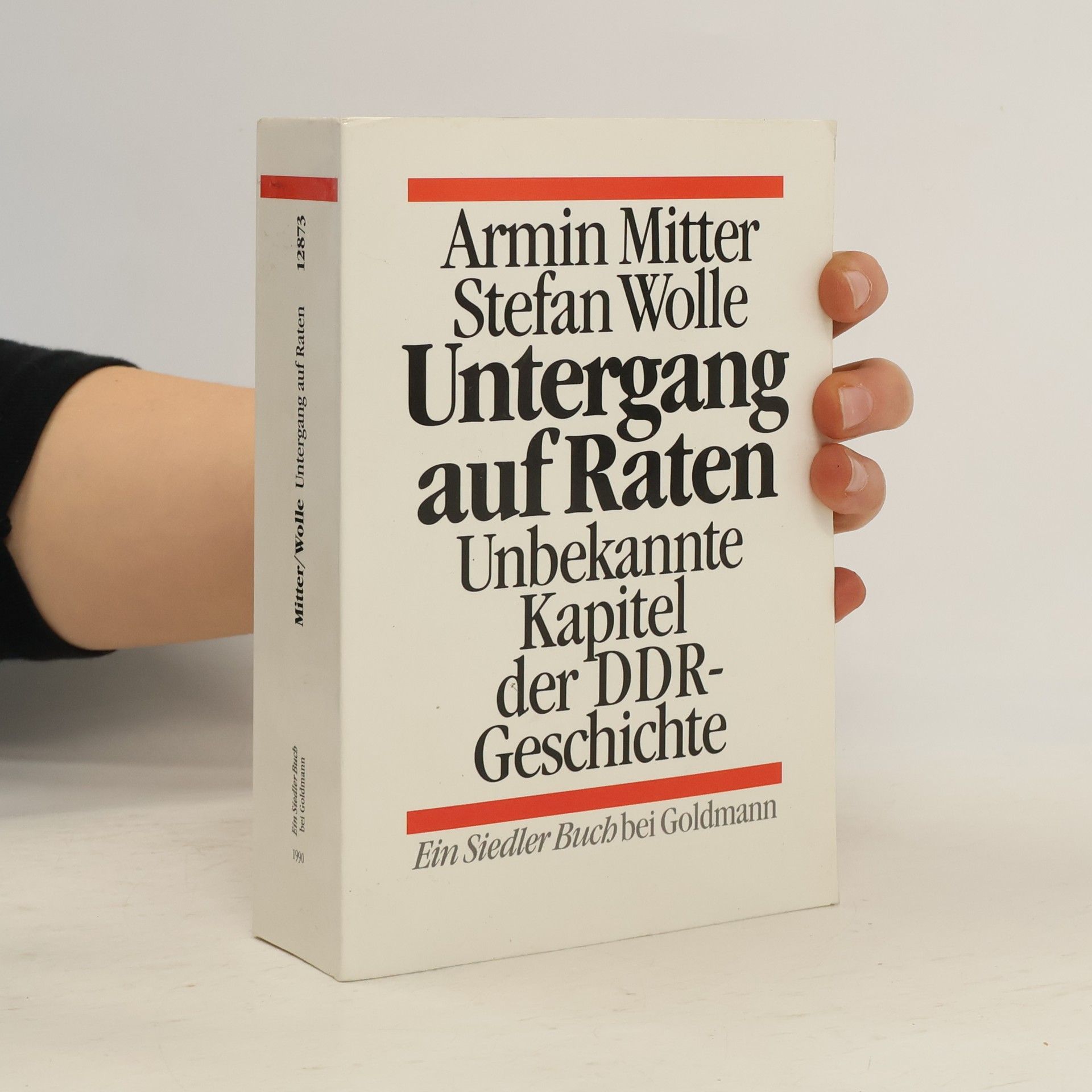 Armin Mitter Untergang auf Raten