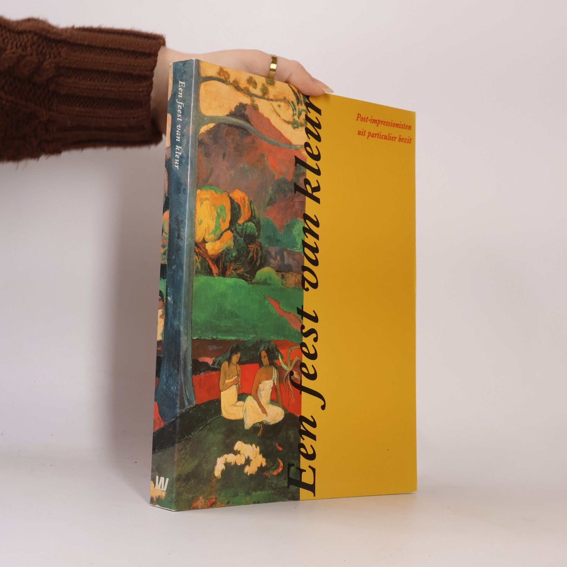 John Sillevis Een feest van kleur