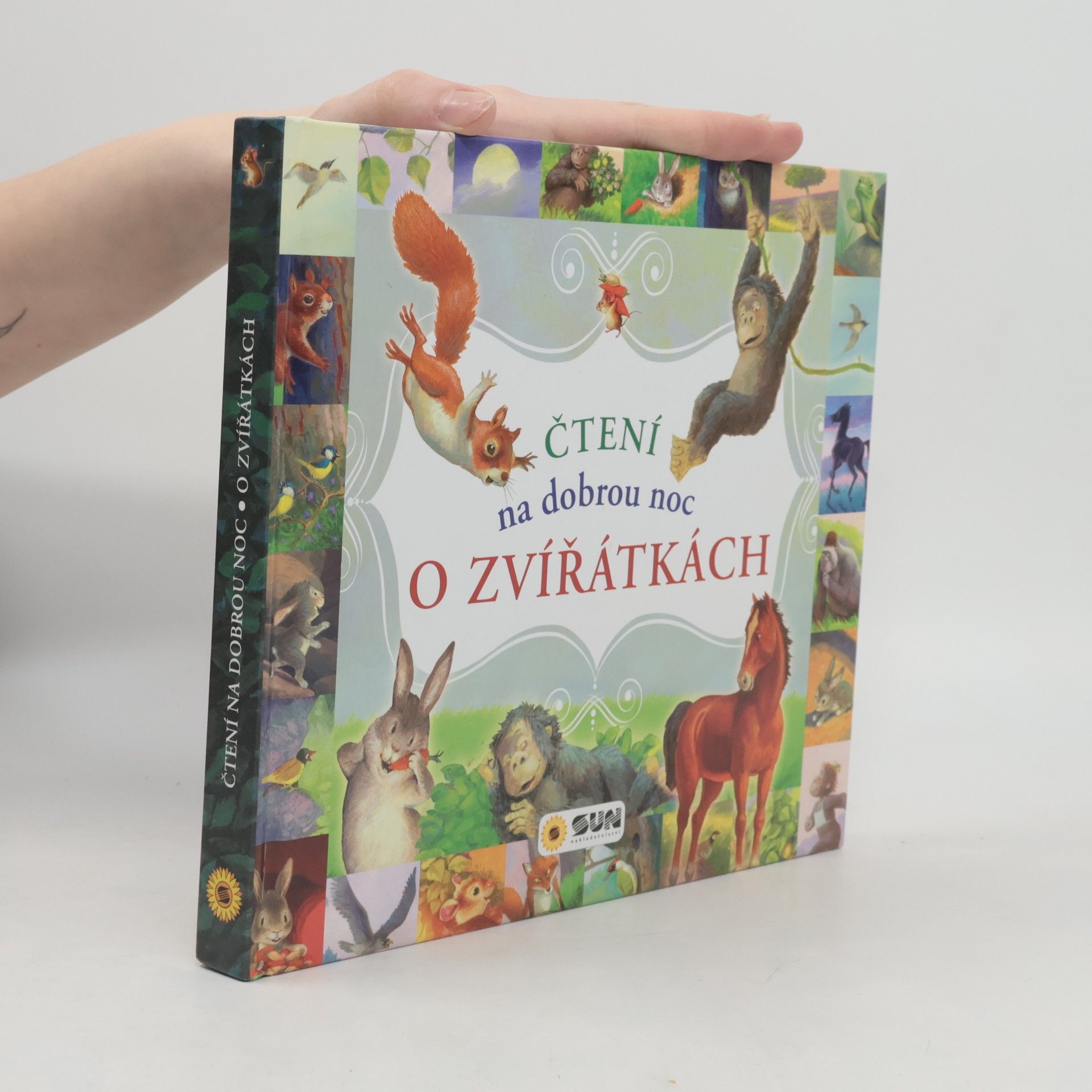 Autorenkollektiv Čtení na dobrou noc o zvířátkách