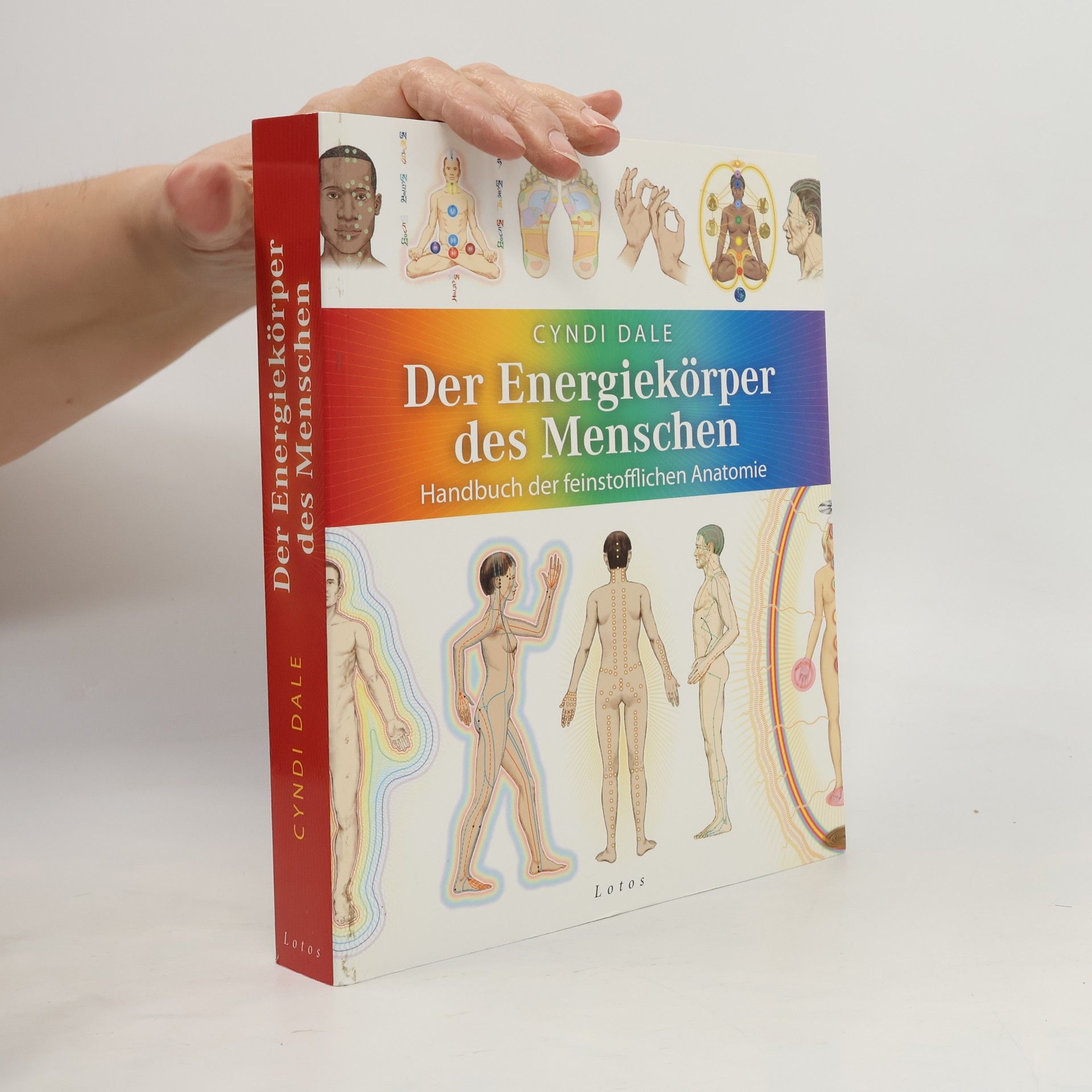 Cyndi Dale Der Energiekörper des Menschen