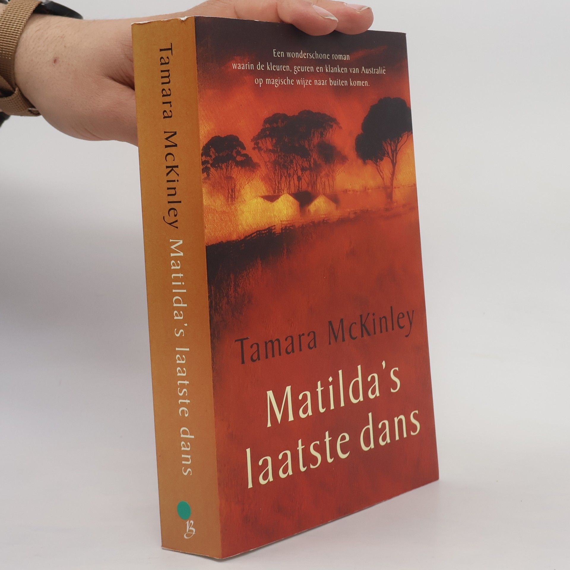 Annemarie Verbeek Matilda's laatste dans