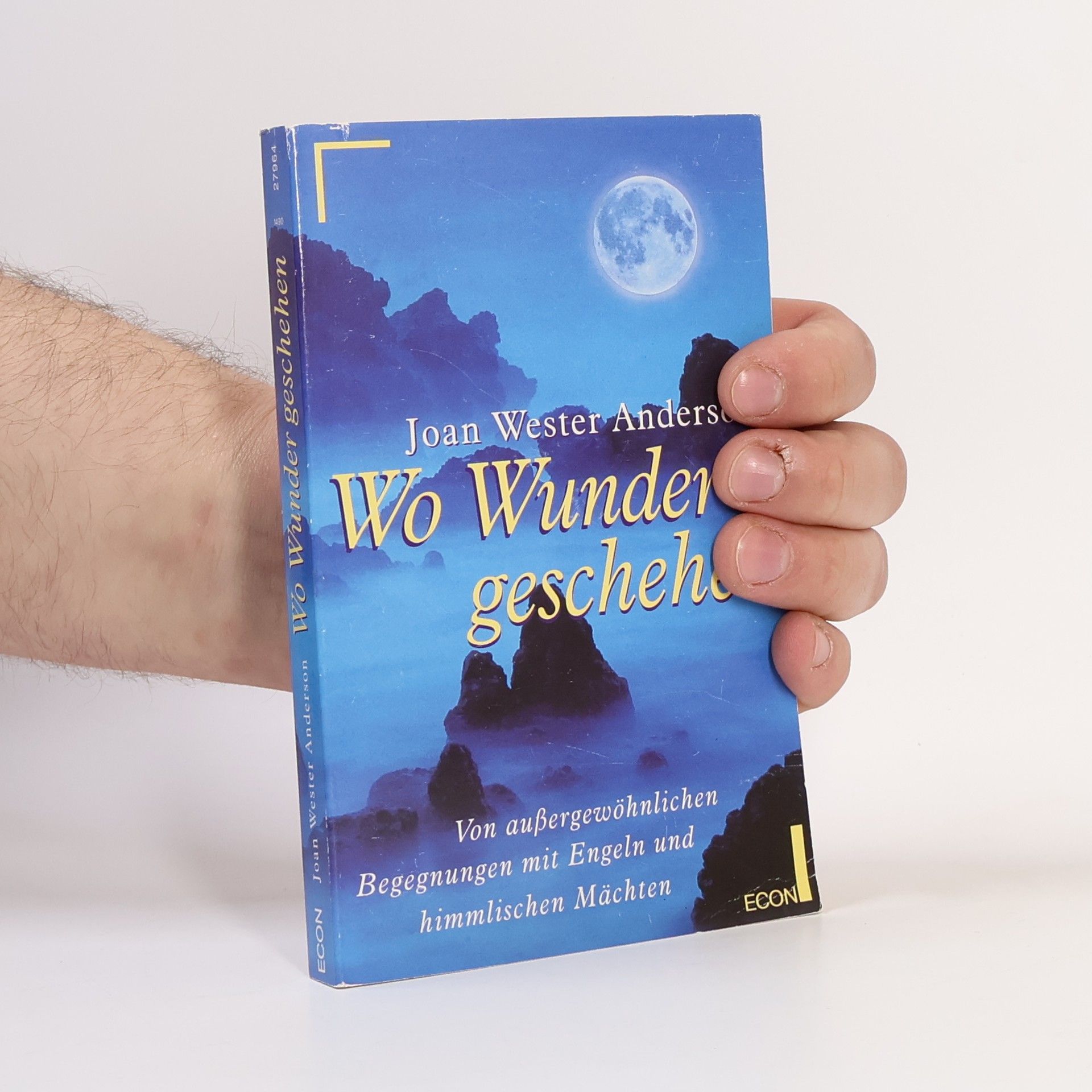 Joan Wester Anderson Wo Wunder geschehen