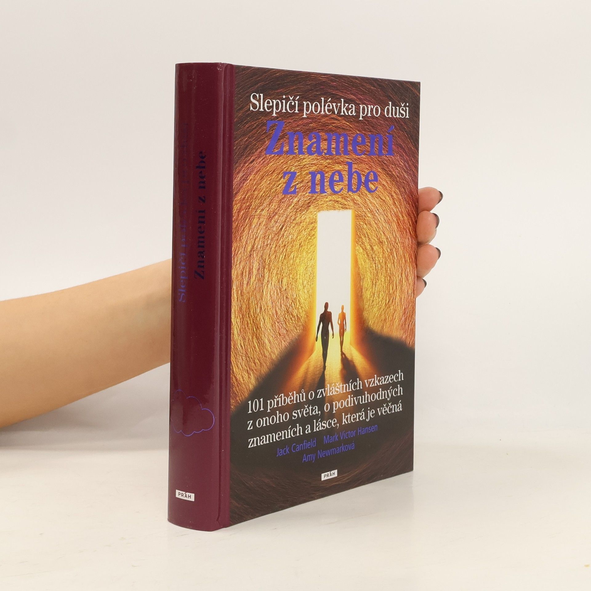 Slepičí polévka pro duši