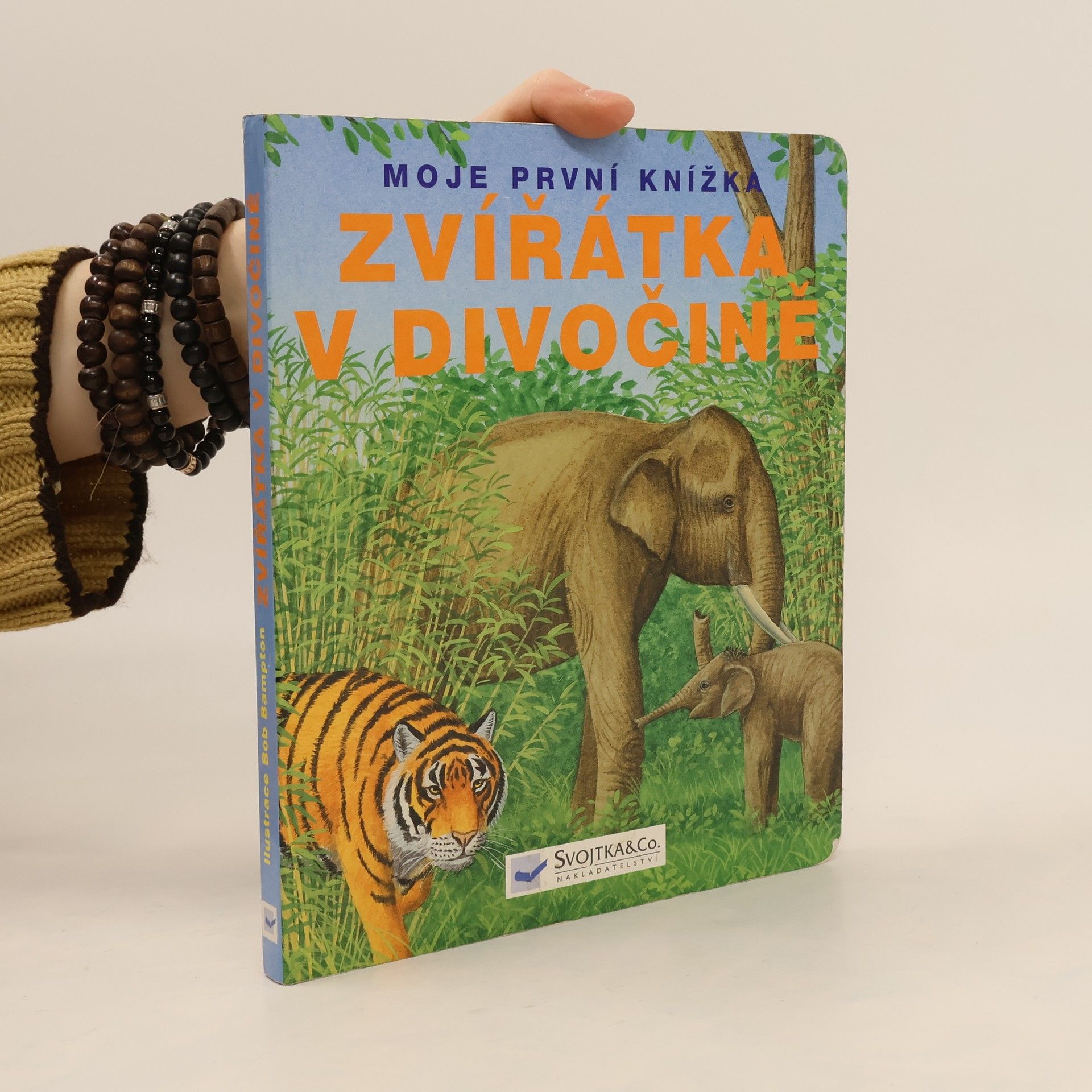 Auteurscollectief Zvířátka v divočině