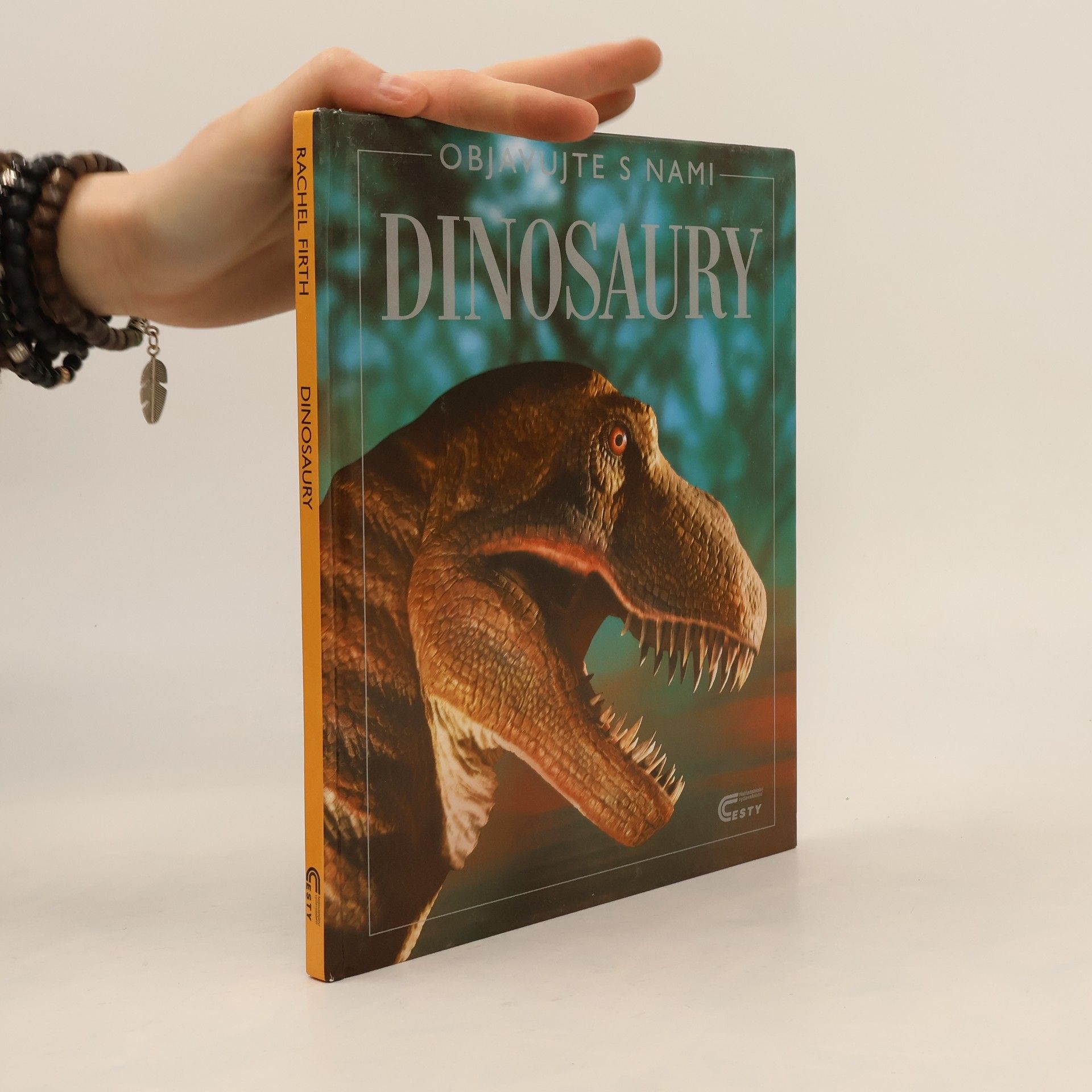 Rachel Firth Dinosaury