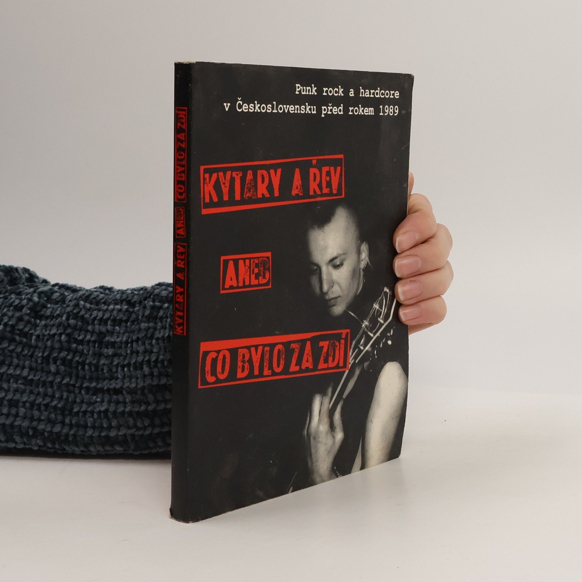 Kolektiv autorů Kytary a řev aneb co bylo za zdí